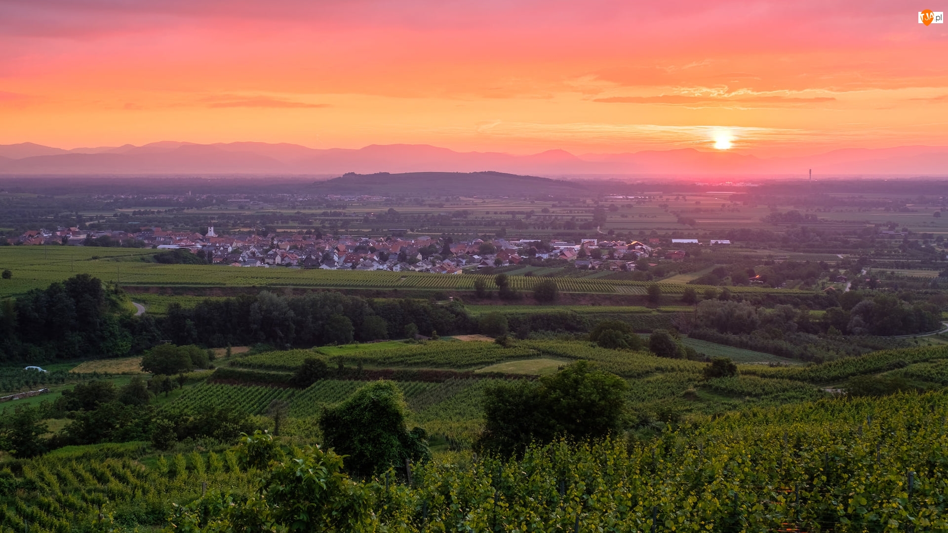 Kaiserstuhl, Niemcy, Wzgórza, Drzewa, Zachód słońca, Winnice