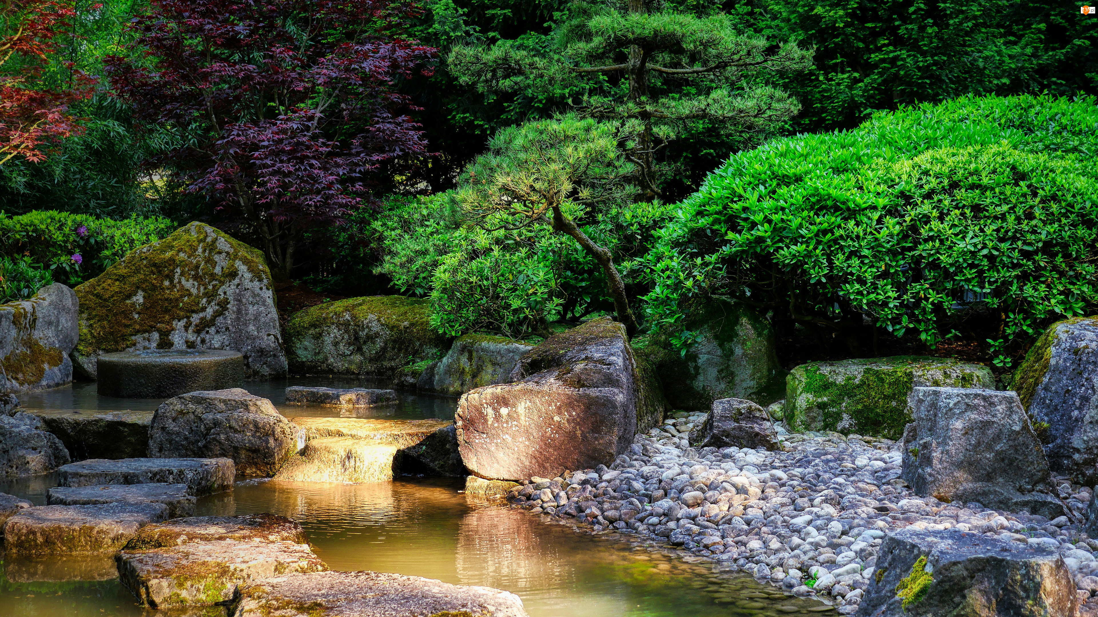 Krzewy, Kamienie, Drzewa, Ogród japoński, Strumień
