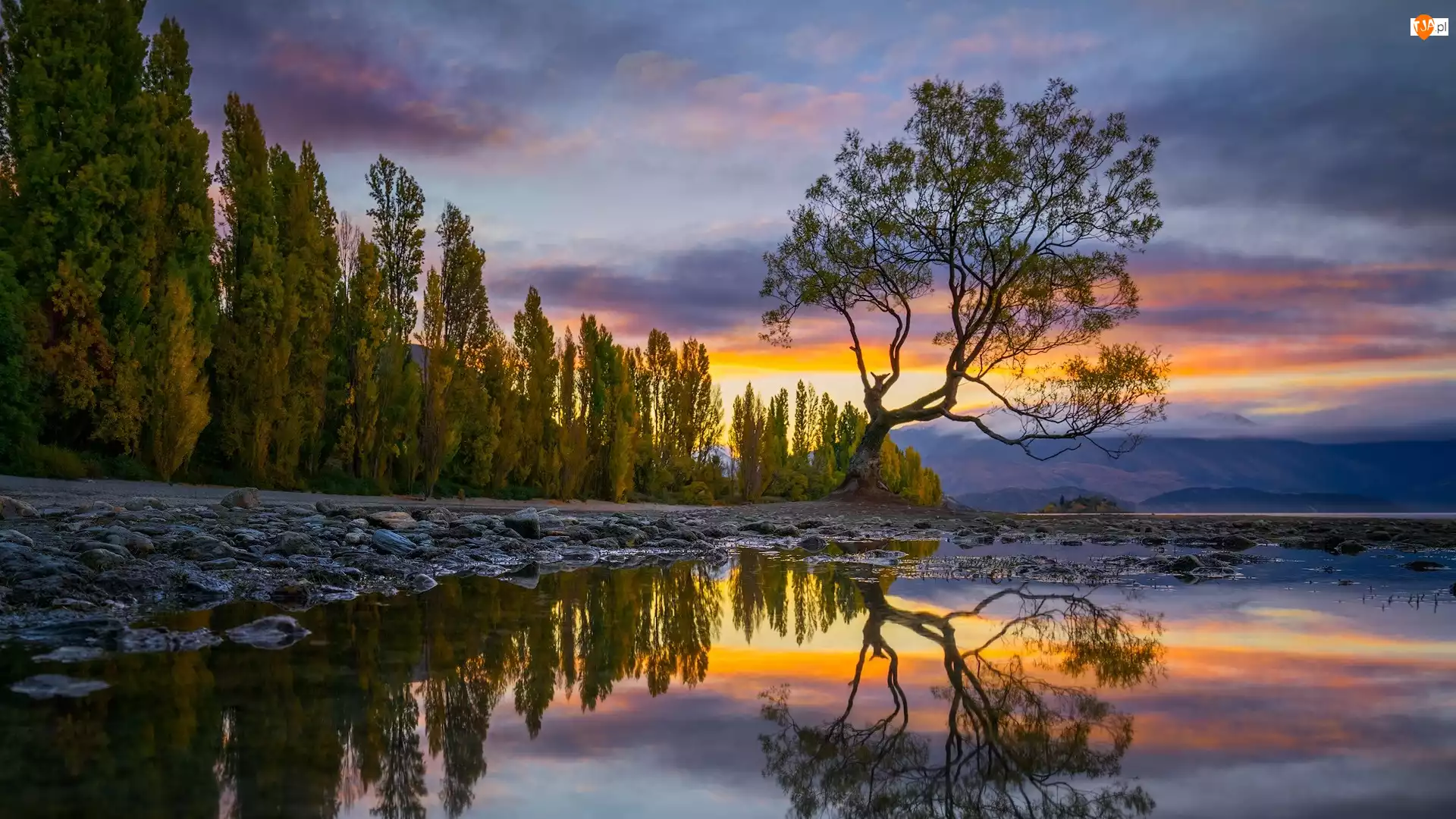 Drzewo, Góry, Nowa Zelandia, Jezioro Wanaka, Odbicie, Chmury, Jesień