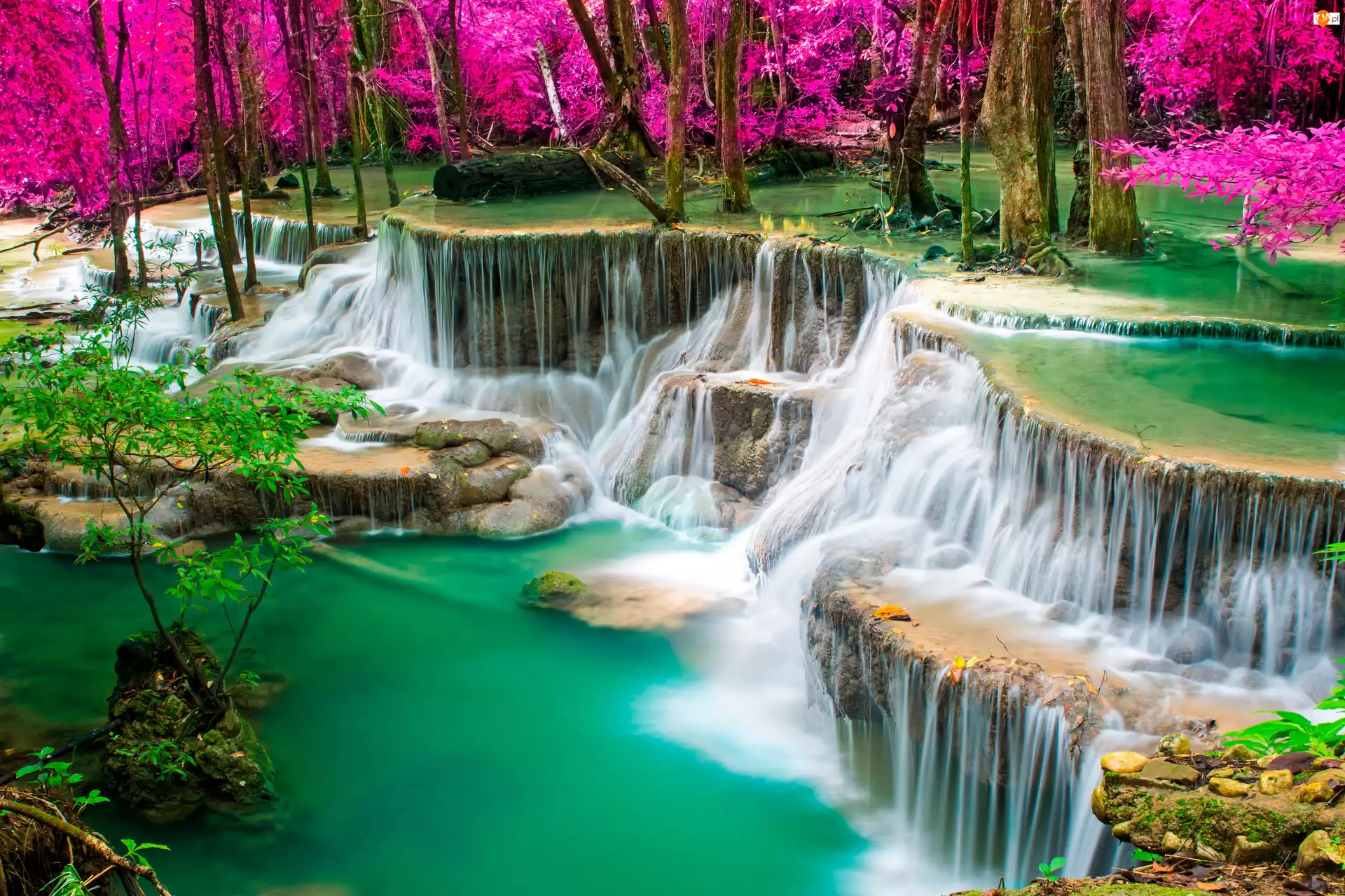 Kaskada, Kolorowe, Tajlandia, Wodospad Erawan, Prowincja Kanchanaburi, Park Narodowy Erawan, Drzewa