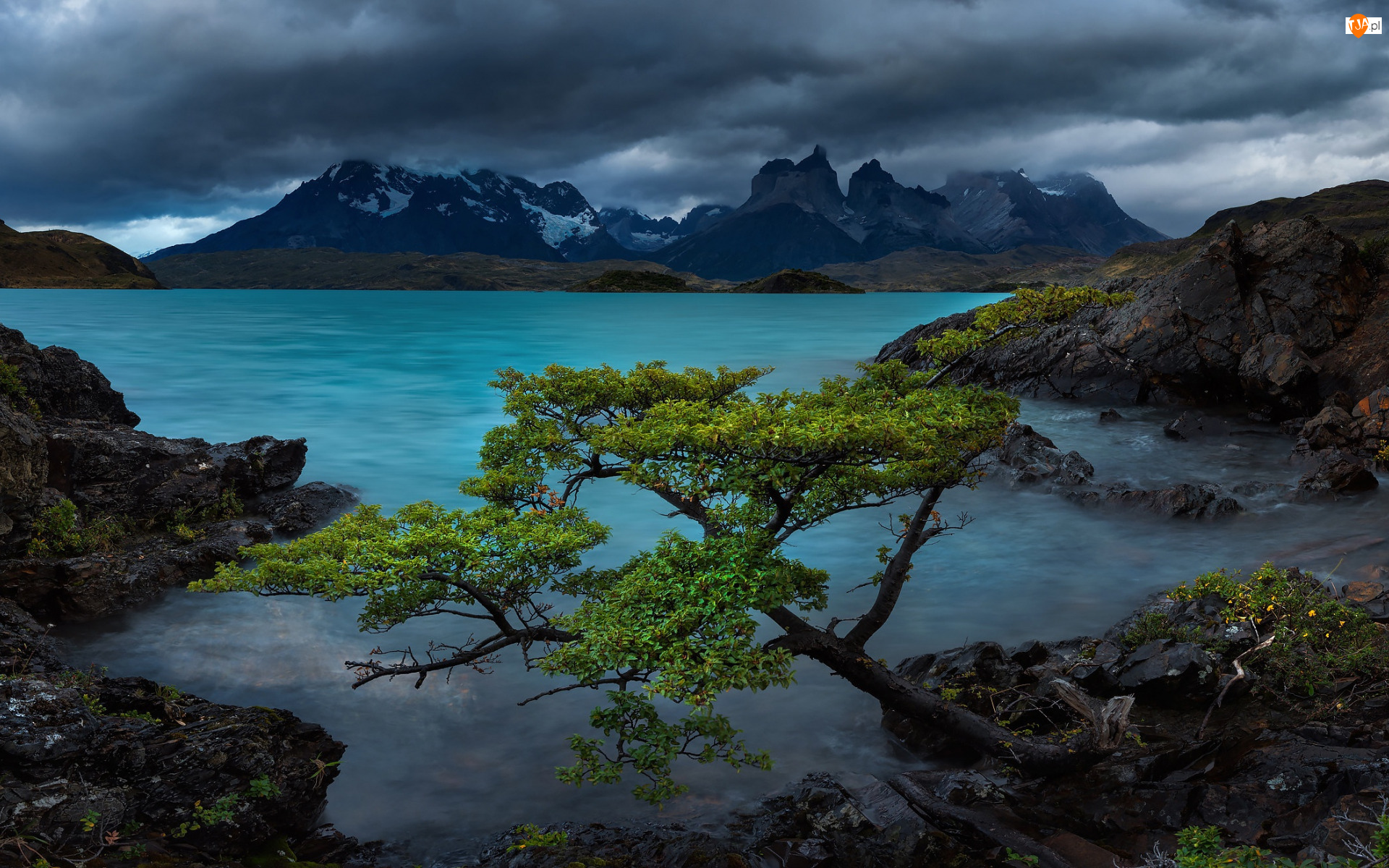 Jezioro, Kamienie, Cordillera Paine, Park Narodowy Torres del Paine, Andy, Patagonia, Lake Pehoe, Góry, Drzewa, Chmury, Chile
