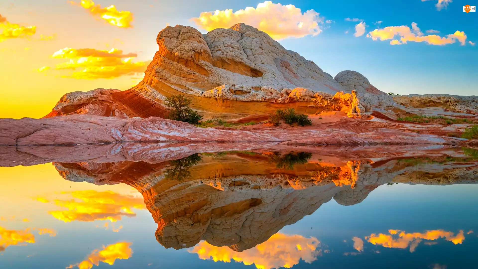 White Pocket, Skała, Stany Zjednoczone, Formacje skalne, Arizona, Pomnik narodowy, Vermilion Cliffs National Monument