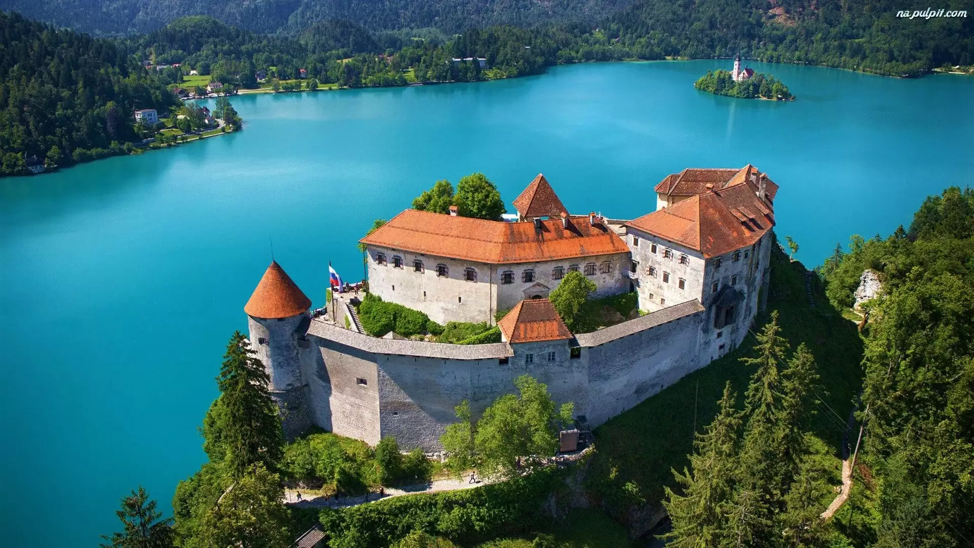 Zamek Bled, Drzewa, Jezioro Bled, Słowenia, Wyspa Blejski Otok