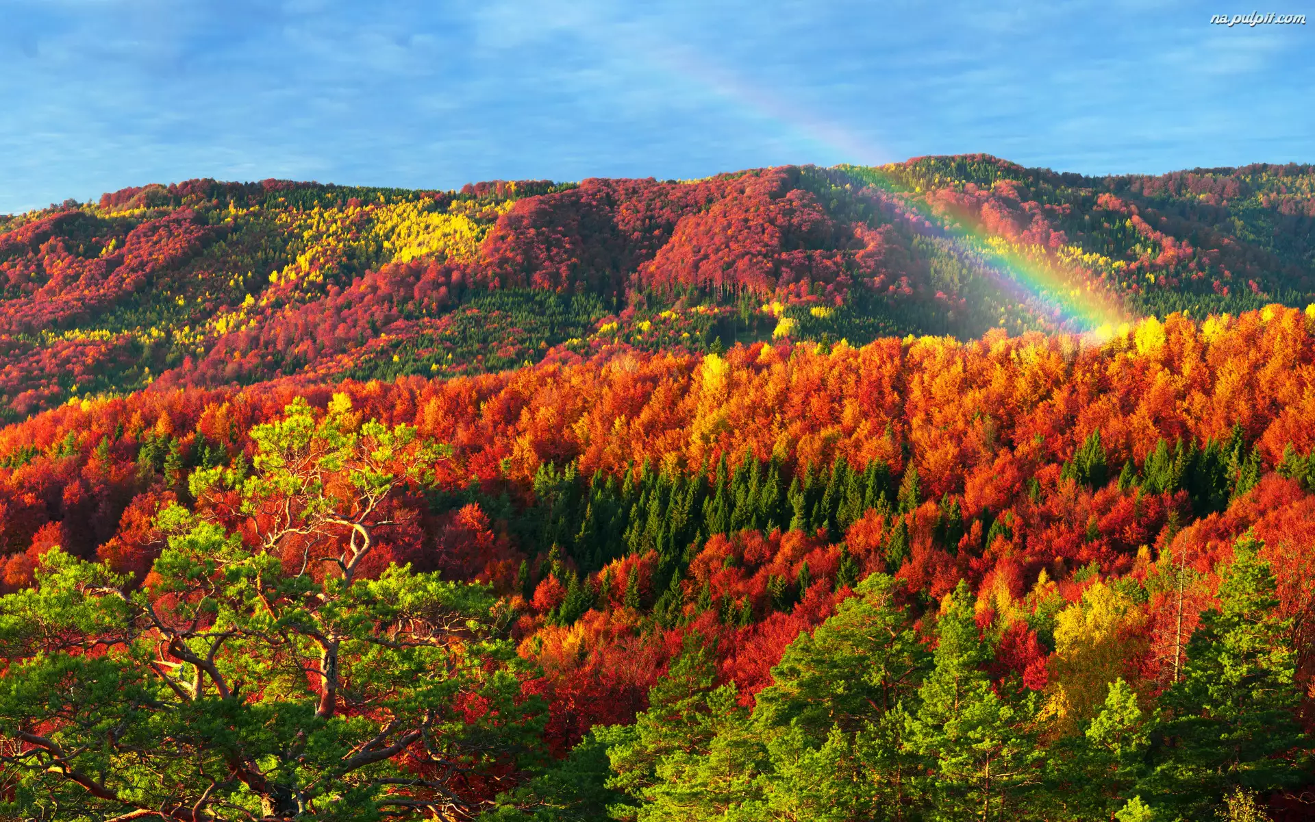 Góry, Jesień, Kolorowe, Tęcza, Lasy, Drzewa