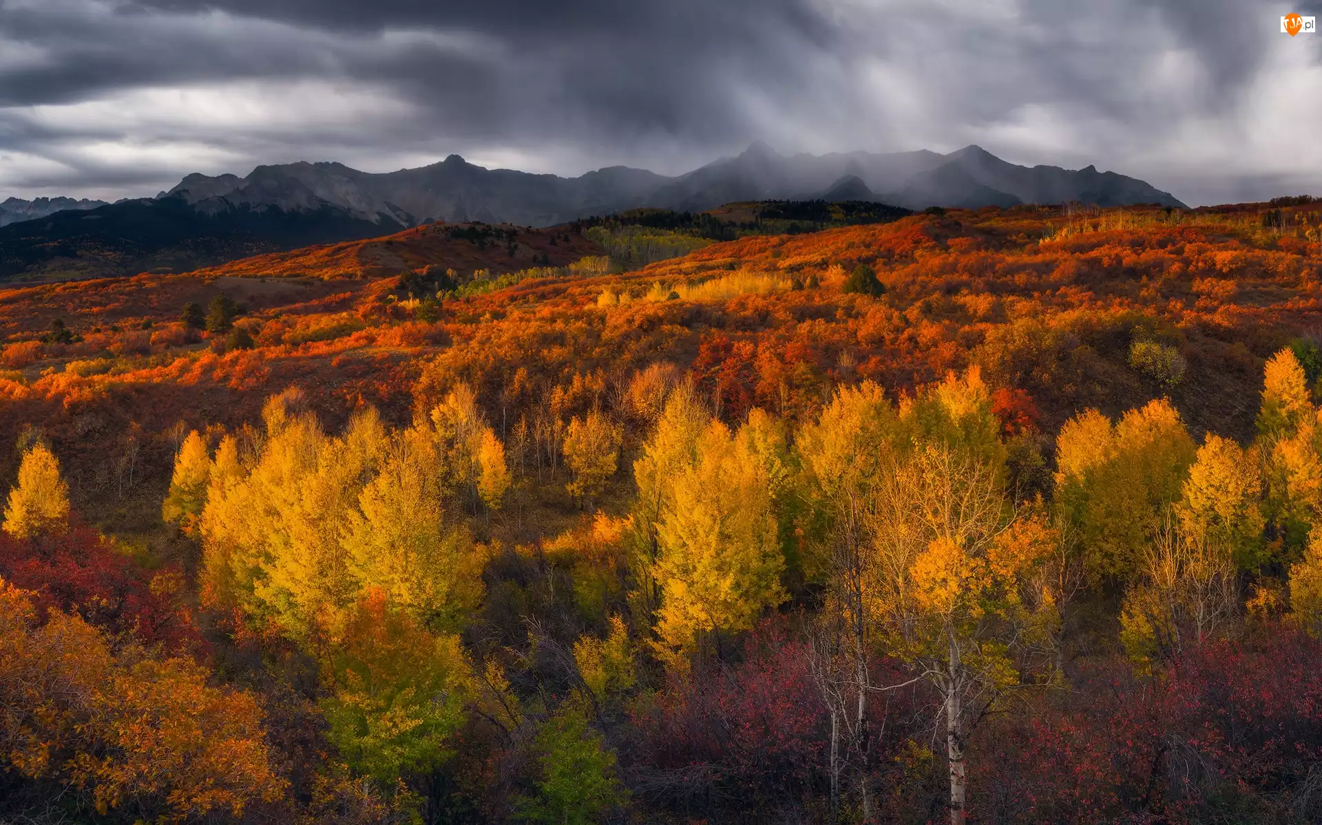 Las, Góry, Drzewa, Chmury, Rozświetlone, Jesień
