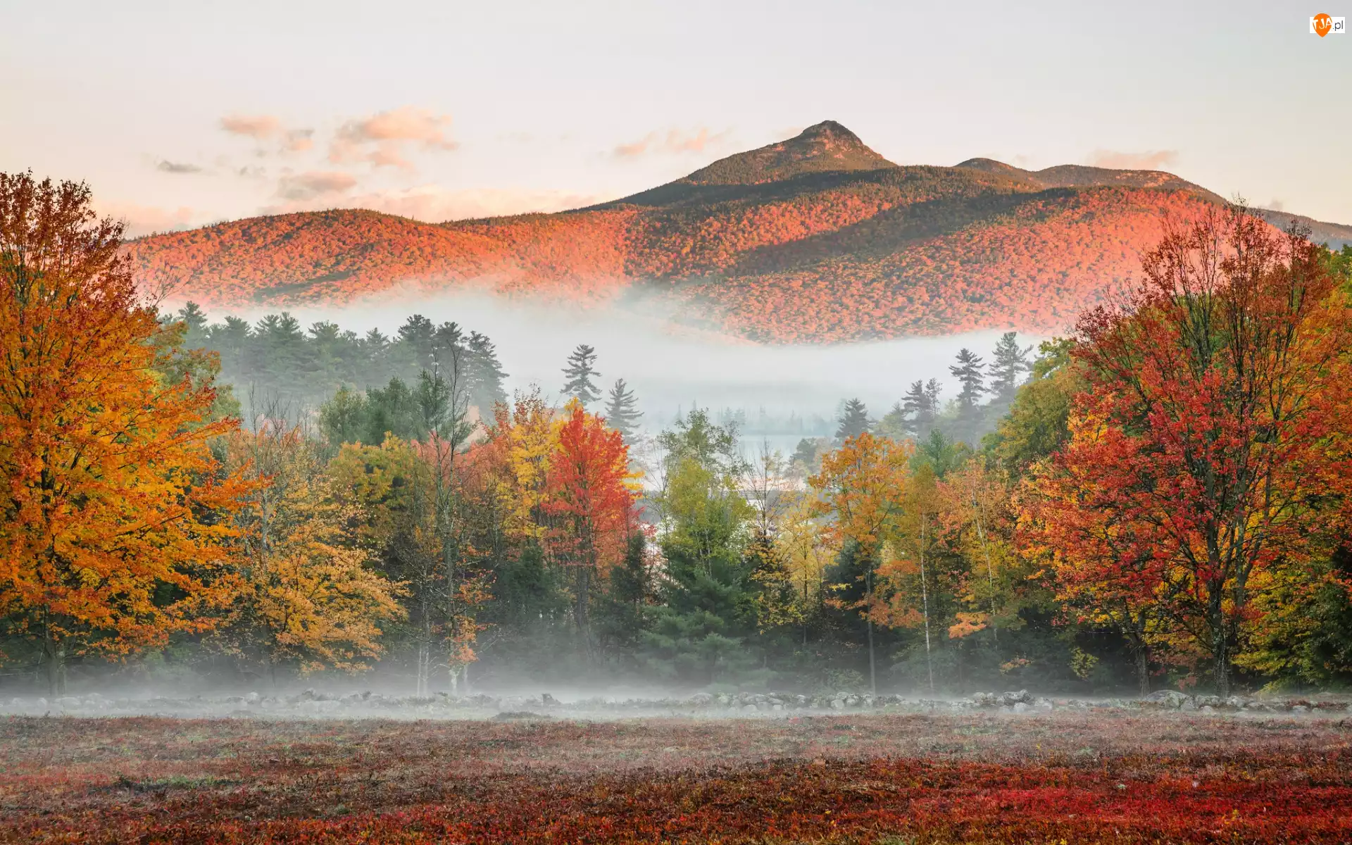 Lasy, White Mountains, Jesień, Góra, Kolorowe, Stan New Hampshire, Góry, Mgła, Mount Chocorua, Drzewa, Stany Zjednoczone