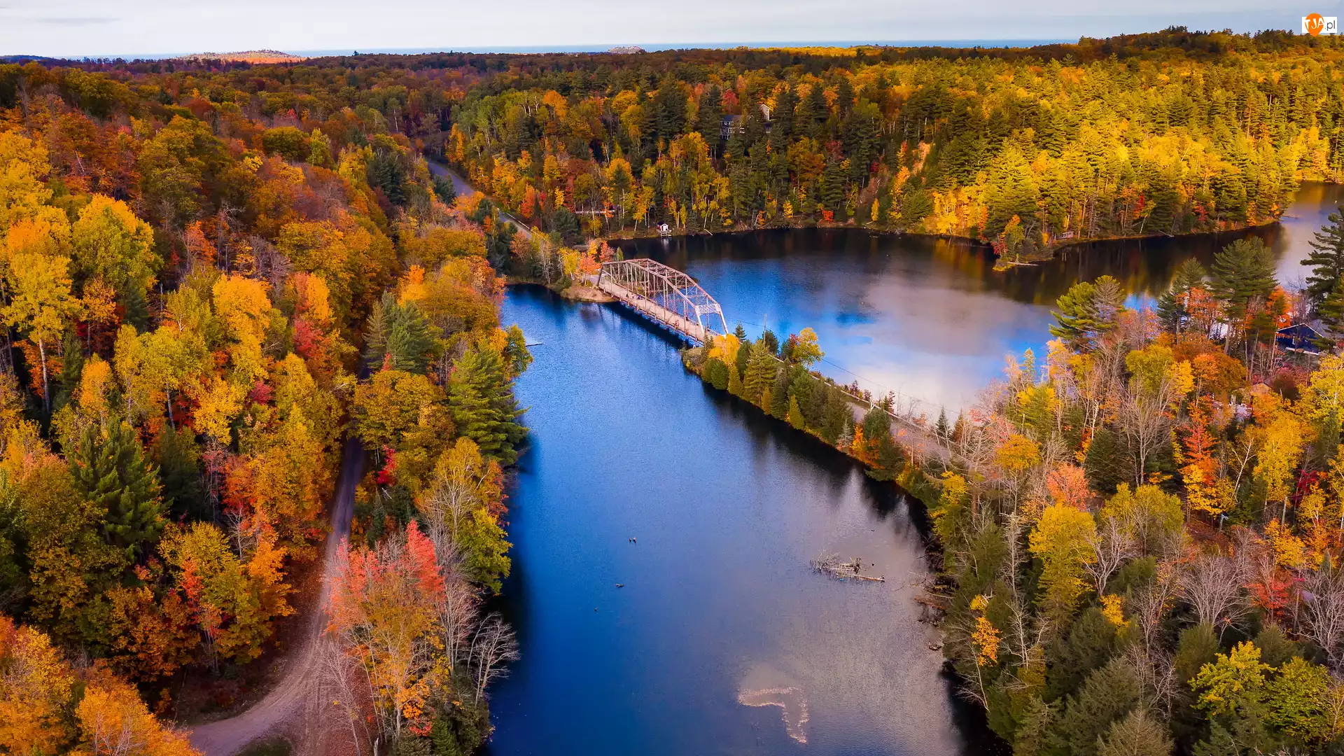 Dead River, Most, Stany Zjednoczone, Rzeka, Michigan, Jesień, Lasy