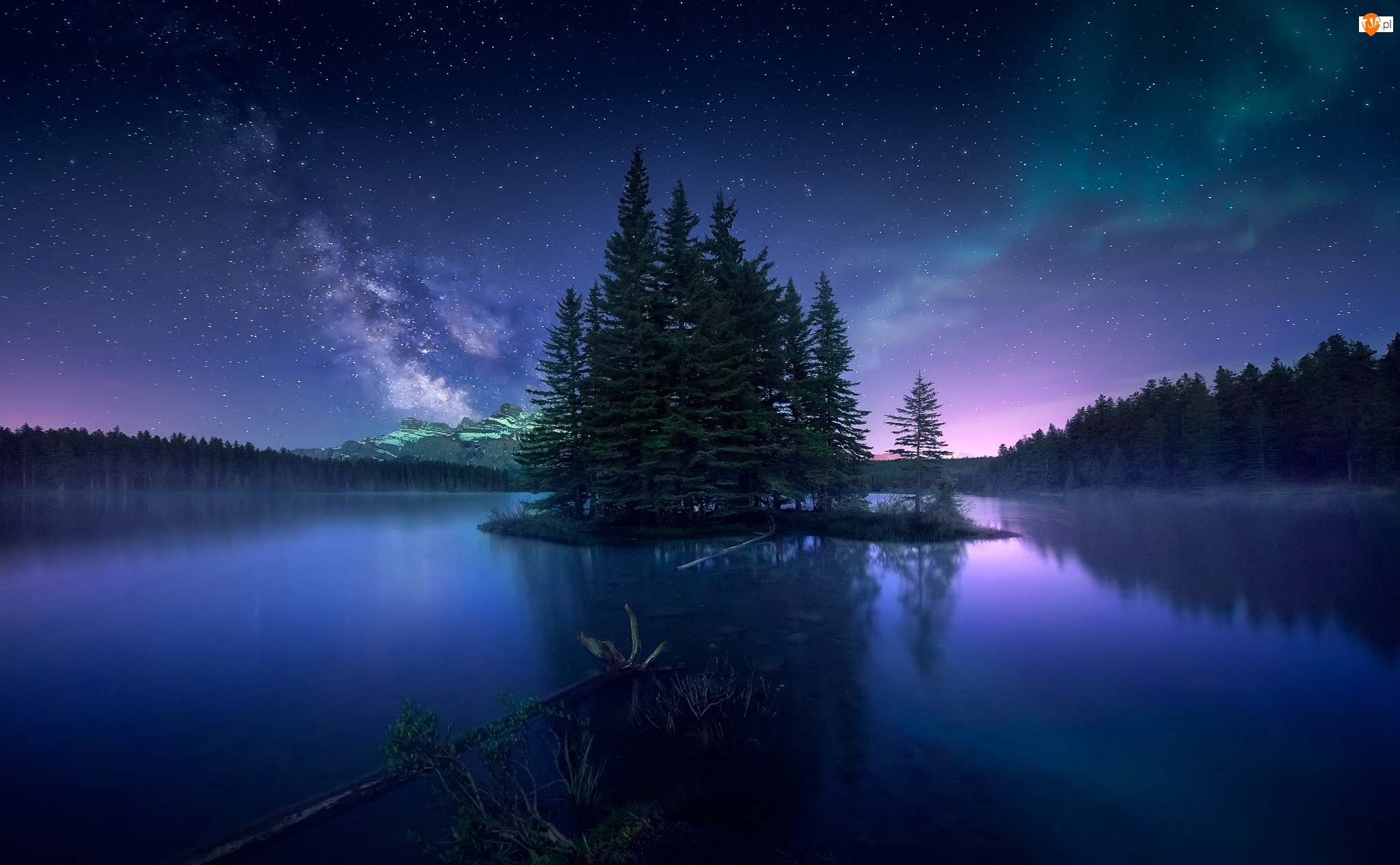Zorza polarna, Niebo, Park Narodowy Banff, Jezioro, Las, Alberta, Noc, Drzewa, Two Jack Lake, Gwiazdy, Kanada
