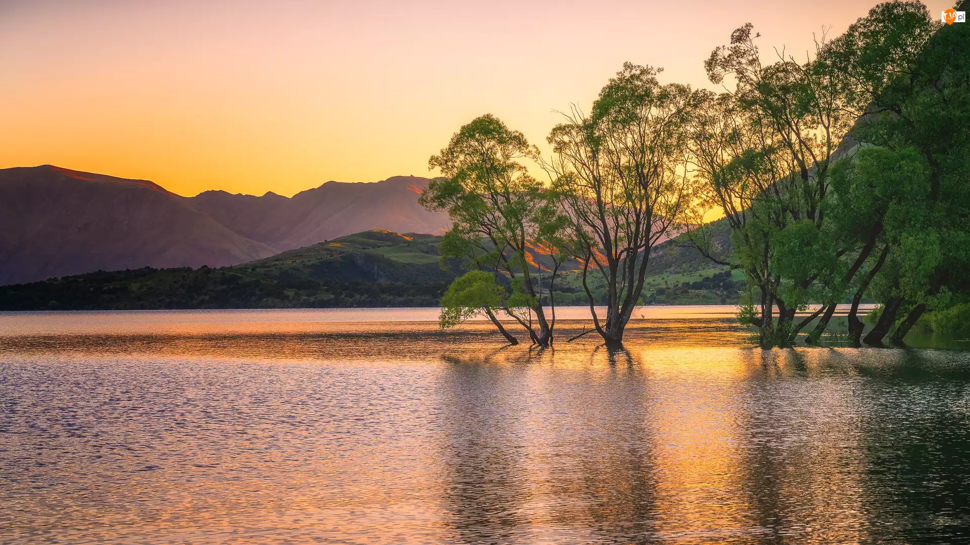 Drzewa, Nowa Zelandia, Jezioro Wanaka, Góry