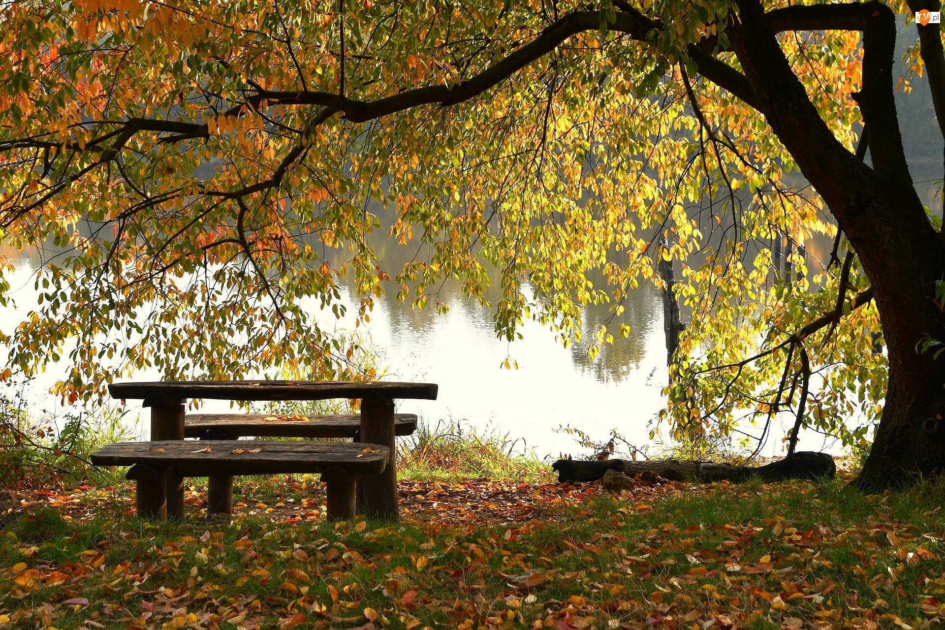 Jezioro, Jesień, Ławka, Drzewo