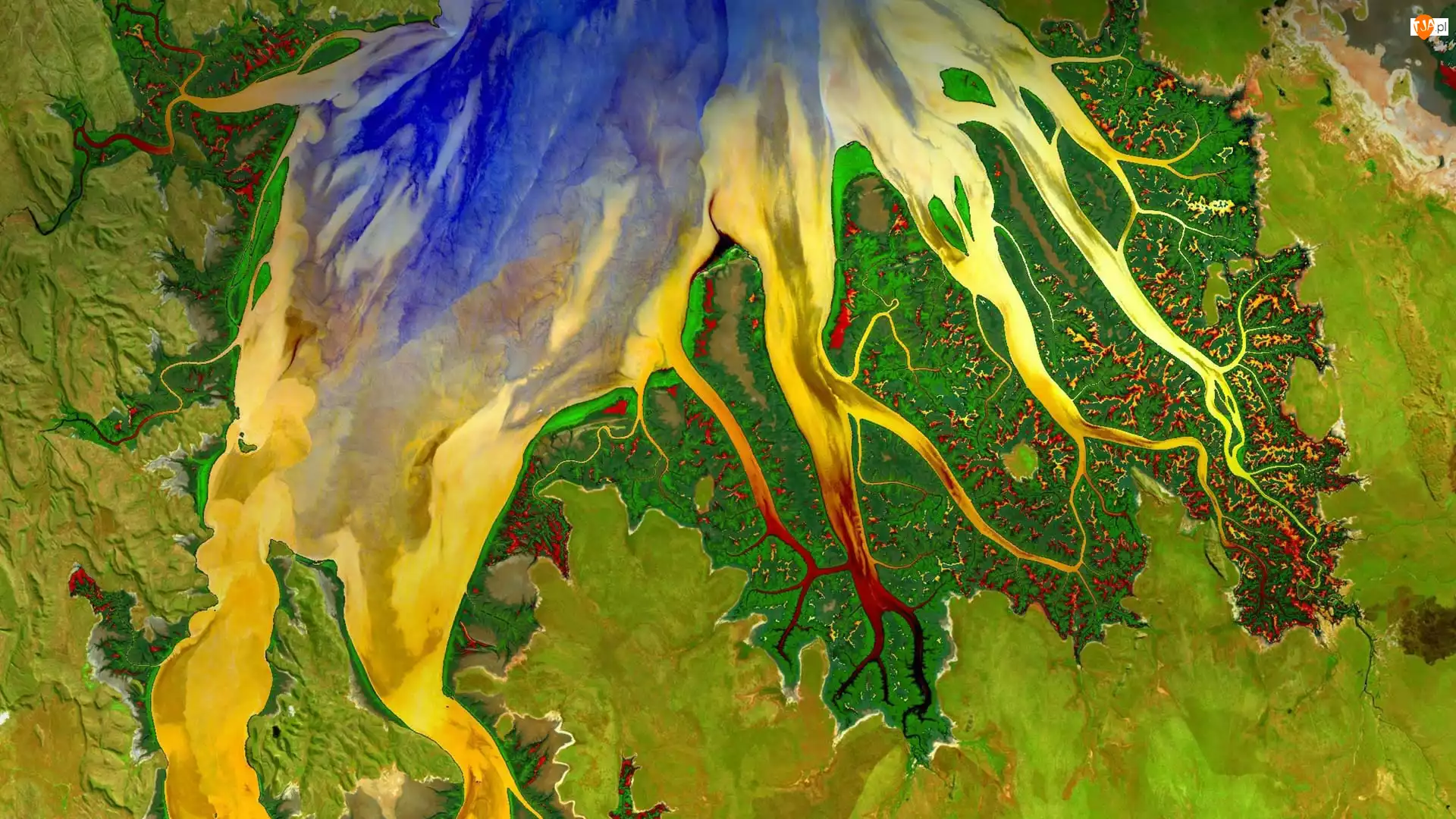 Zatoka Cambridge Gulf, Zdjęcie z satelity, Ord River, Australia, Rzeka, Stan Australia Zachodnia