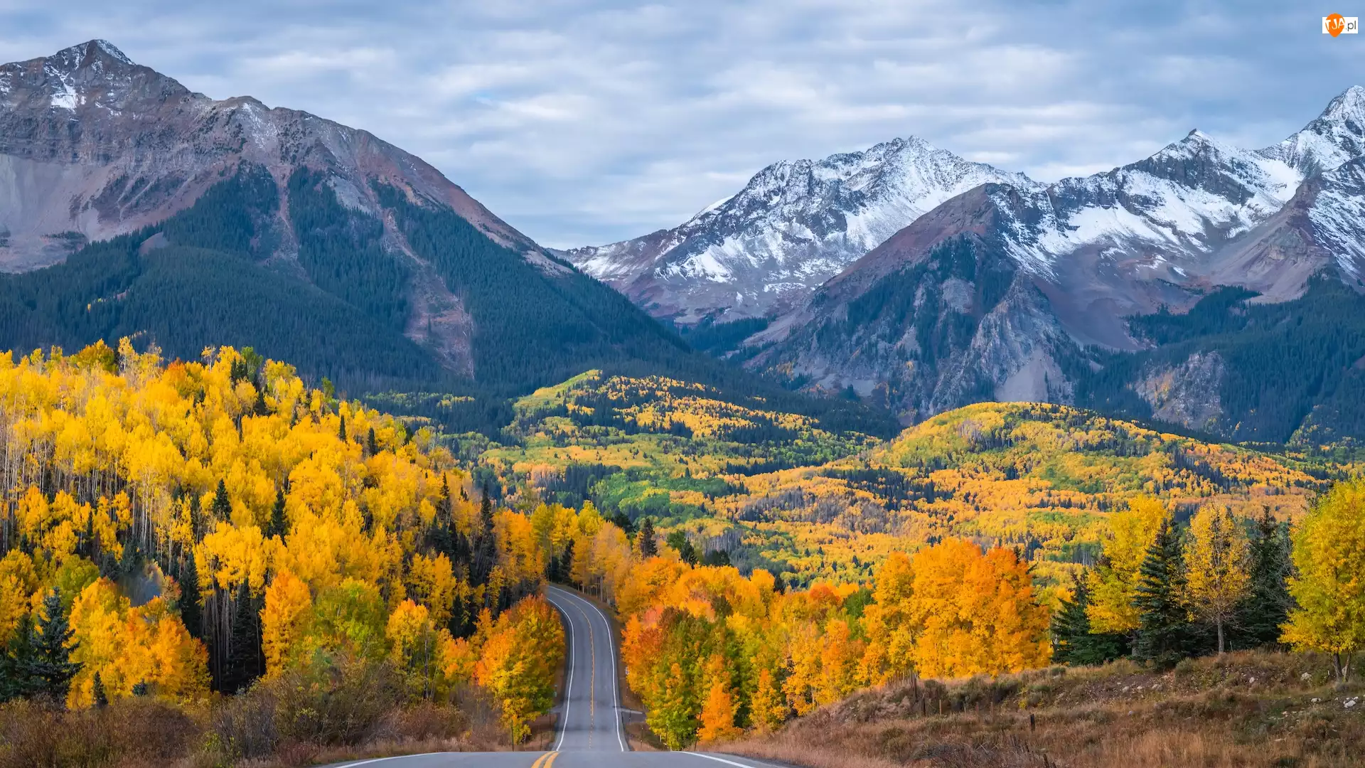 Kolorado, Telluride, Droga, Stany Zjednoczone, Jesień, Drzewa, Góry
