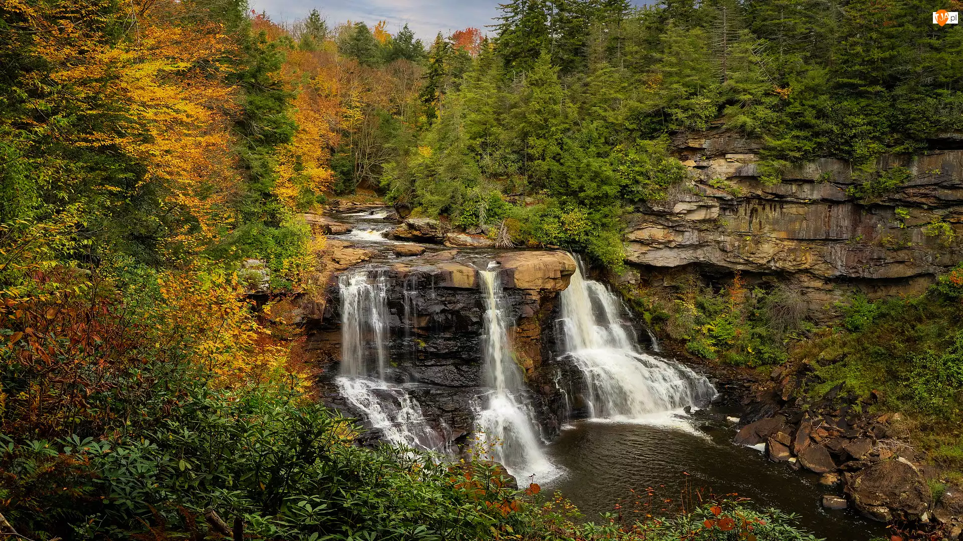 Blackwater Falls, Stany Zjednoczone, Rzeka, Skały, Wirginia zachodnia, Wodospad, Drzewa, Park stanowy Blackwater Falls
