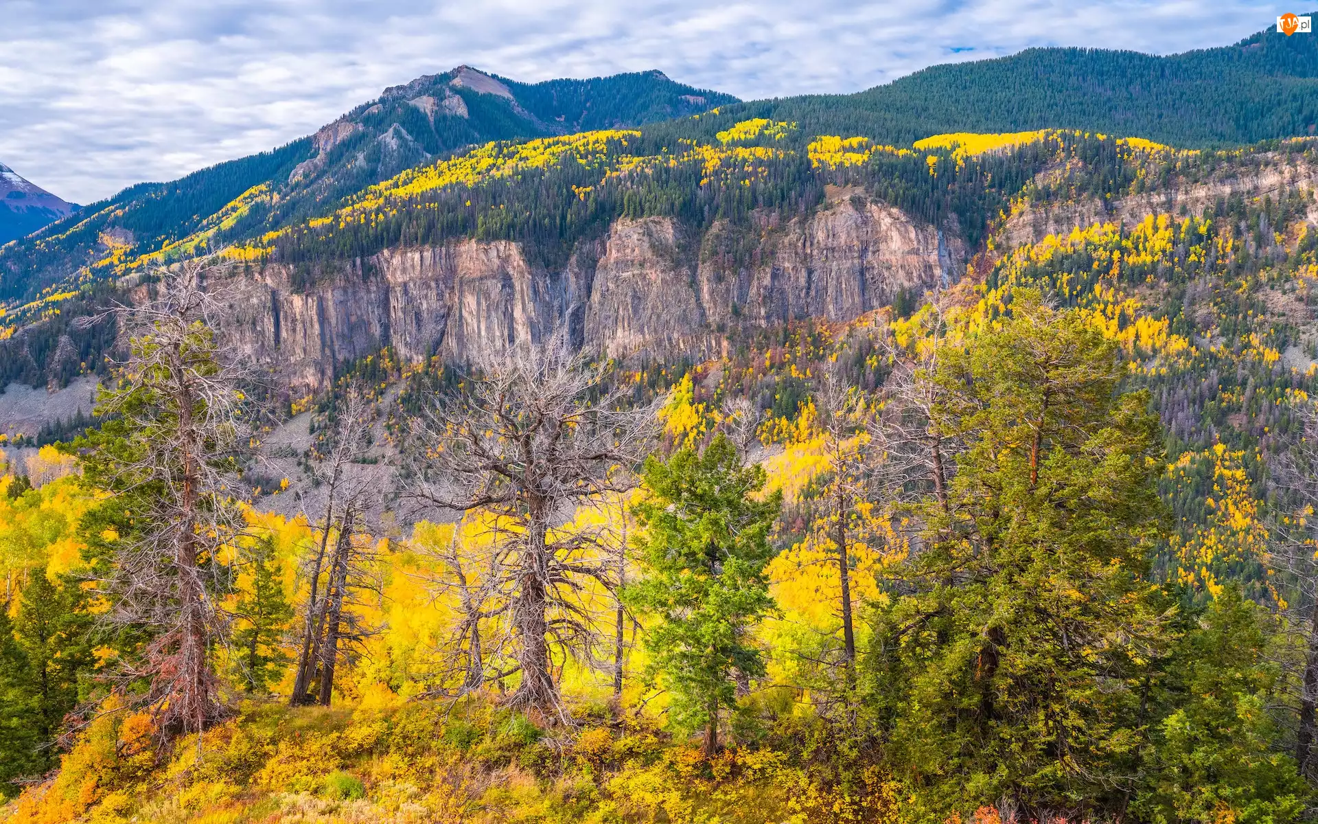 Telluride, Jesień, Góry, Kolorado, Drzewa, San Juan Mountains, Stany Zjednoczone, Las
