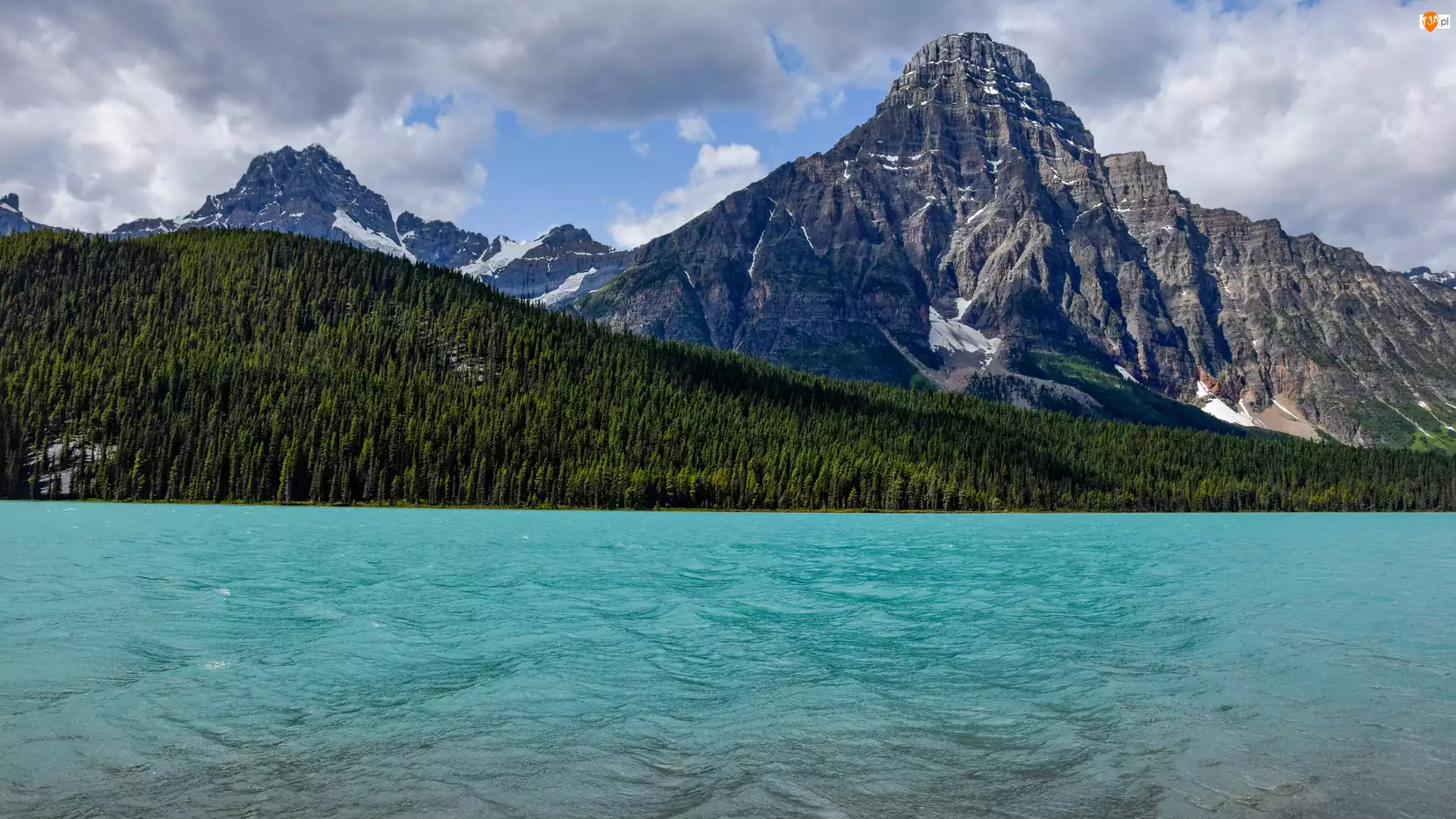 Drzewa, Prowincja Alberta, Mount Chephren, Góry, Góra, Park Narodowy Banff, Jezioro, Kanada, Waterfowl Lake