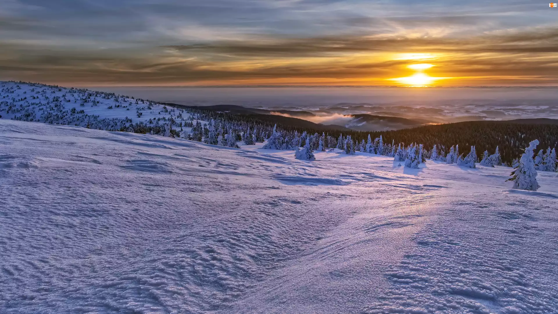 Góry, Zima, Pasmo Jesioniki, Czechy, Sudety Wschodnie, Wschód słońca
