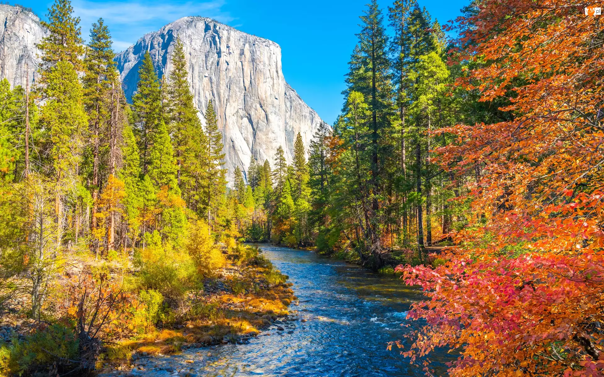 Kalifornia, Park Narodowy Yosemite, Góry, Stany Zjednoczone, Drzewa, Rzeka Merced, Jesień