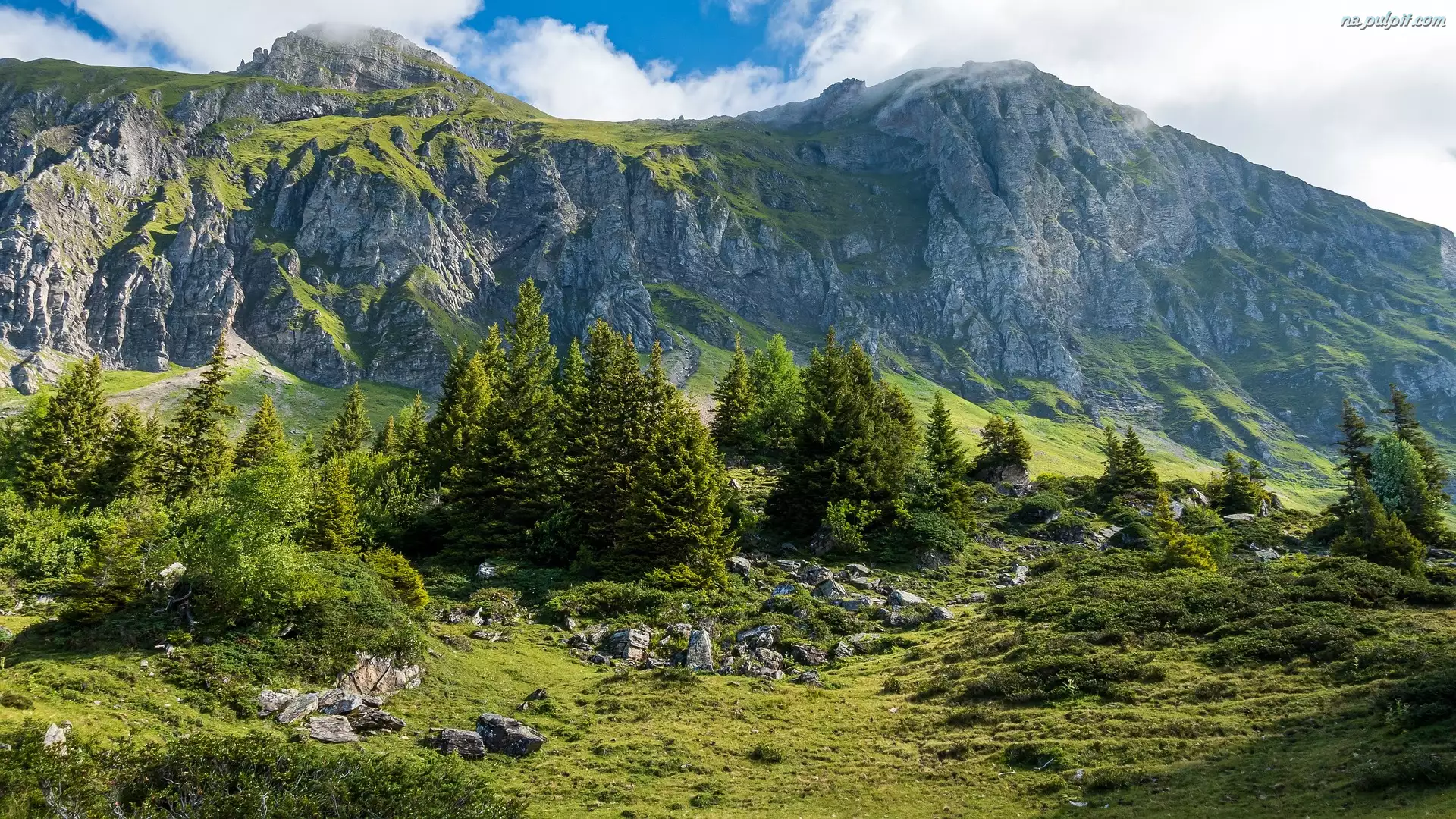 Dolina, Góry Churfirsten, Skały, Szwajcaria, Drzewa, Kanton Sankt Gallen