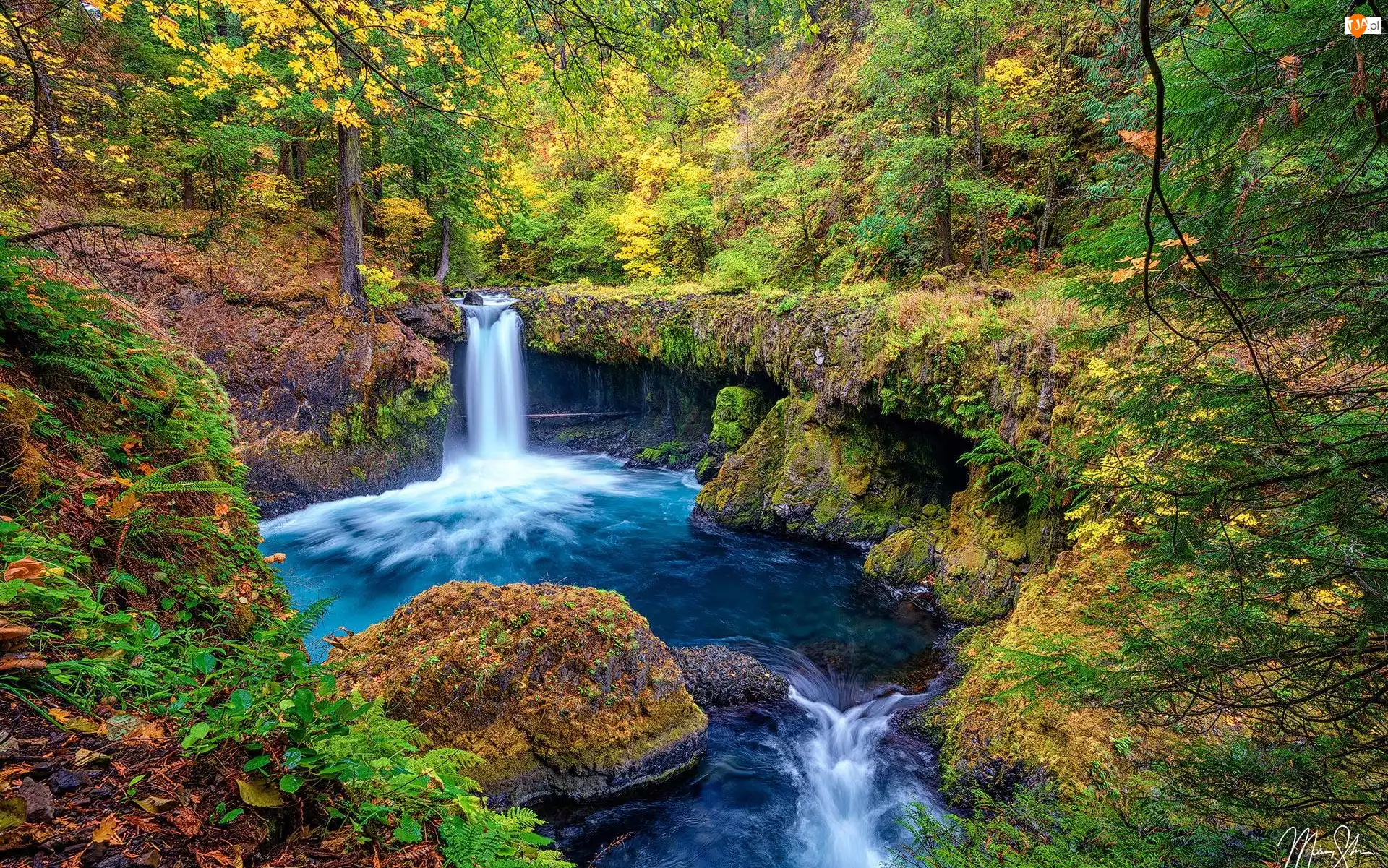 Stany Zjednoczone, Rezerwat przyrody, Oregon, Skały, Jesień, Columbia River Gorge, Drzewa, Rzeka, Krzewy