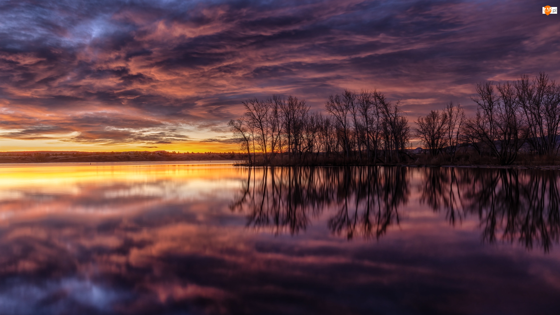Lake Chatfield, Jezioro, Drzewa, Stany Zjednoczone, Wschód słońca, Kolorado