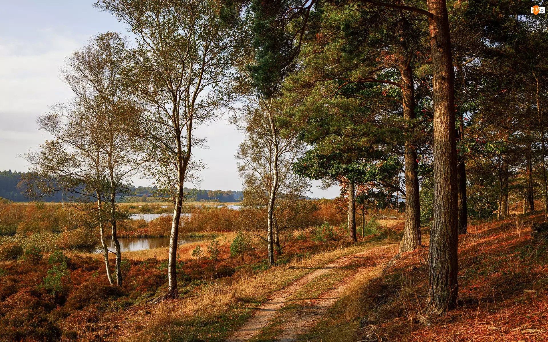 Jezioro, Jesień, Ścieżka, Drzewa