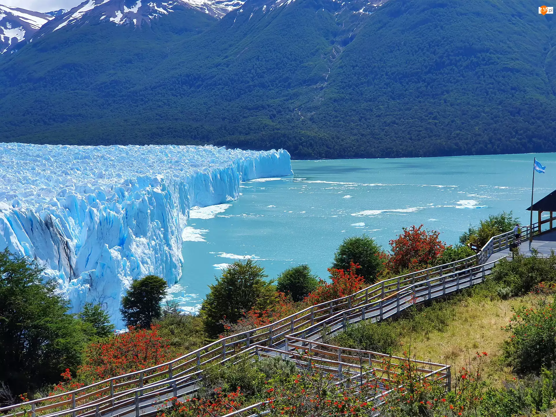Argentyna, Lodowiec, Perito Moreno, Park Narodowy Los Glaciares