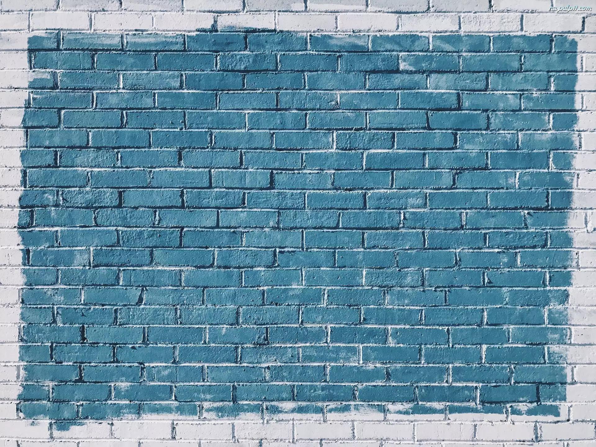 Cegły, Niebiesko-biała, Ściana