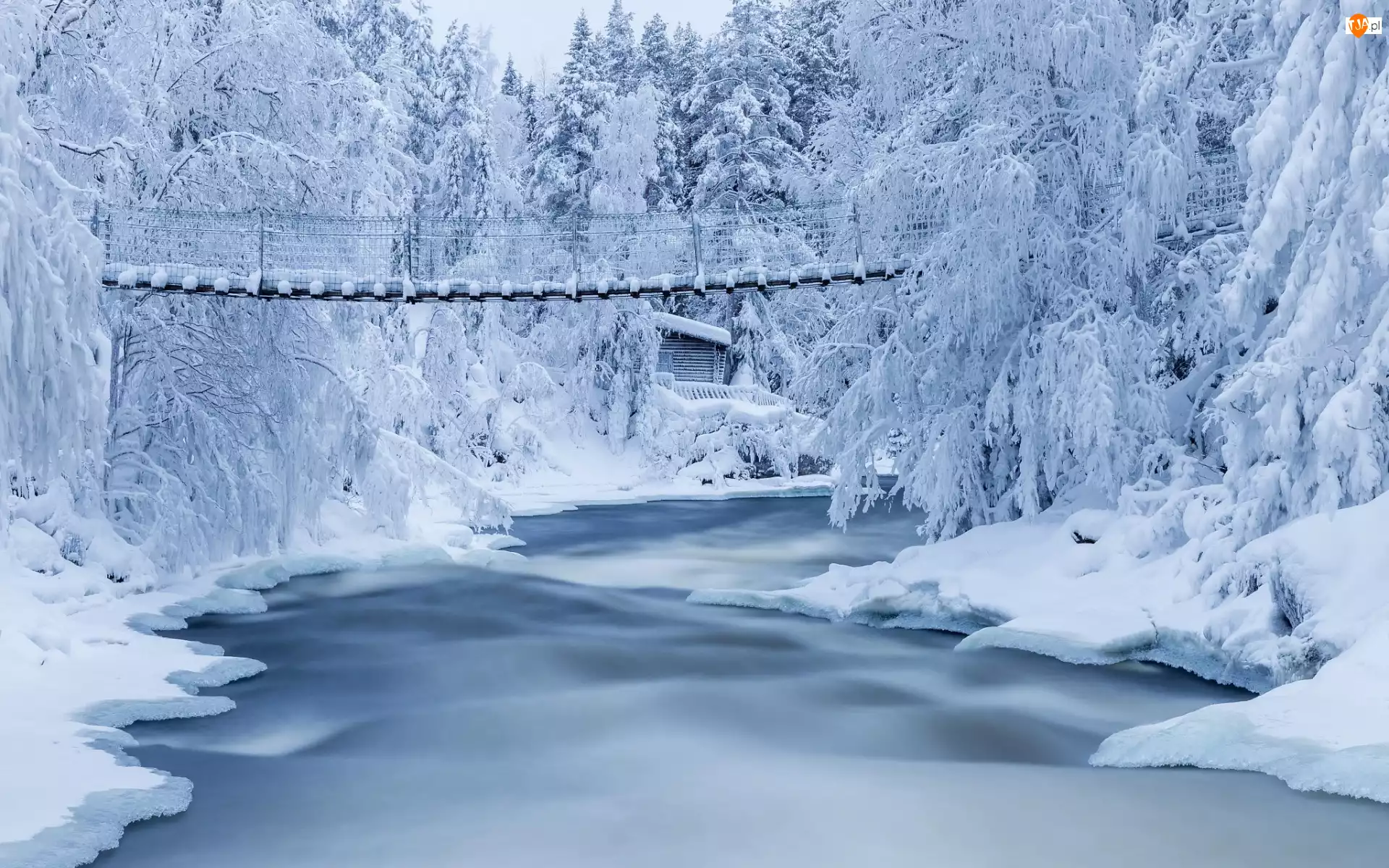 Śnieg, Zima, Drzewa, Most, Las, Rzeka