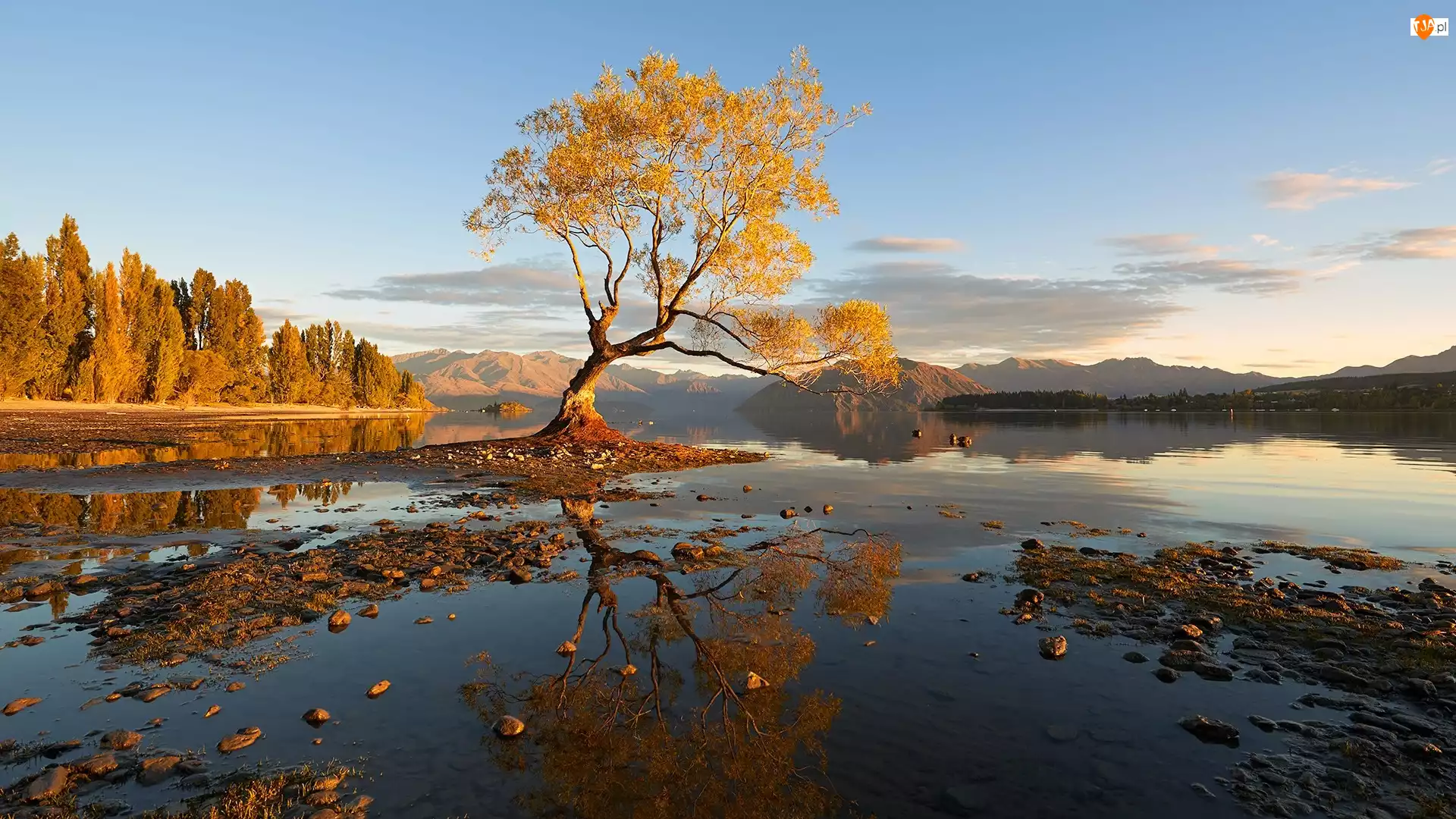 Góry, Nowa Zelandia, Drzewa, Jezioro Wanaka, Jesień