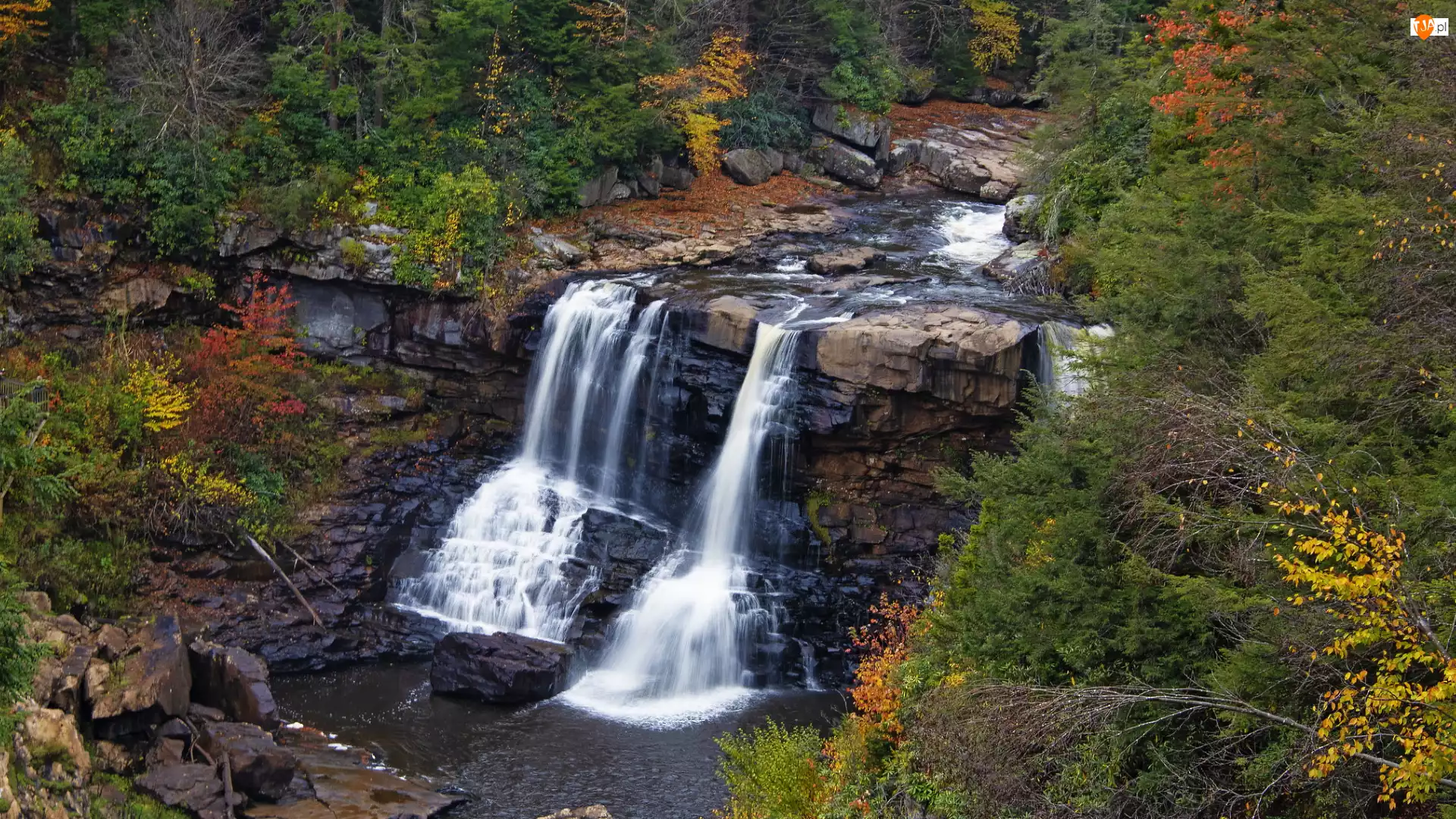 Las, Stany Zjednoczone, Jesień, Skały, Stan Wirginia Zachodnia, Drzewa, Wodospad Blackwater Falls, Park stanowy Blackwater Falls