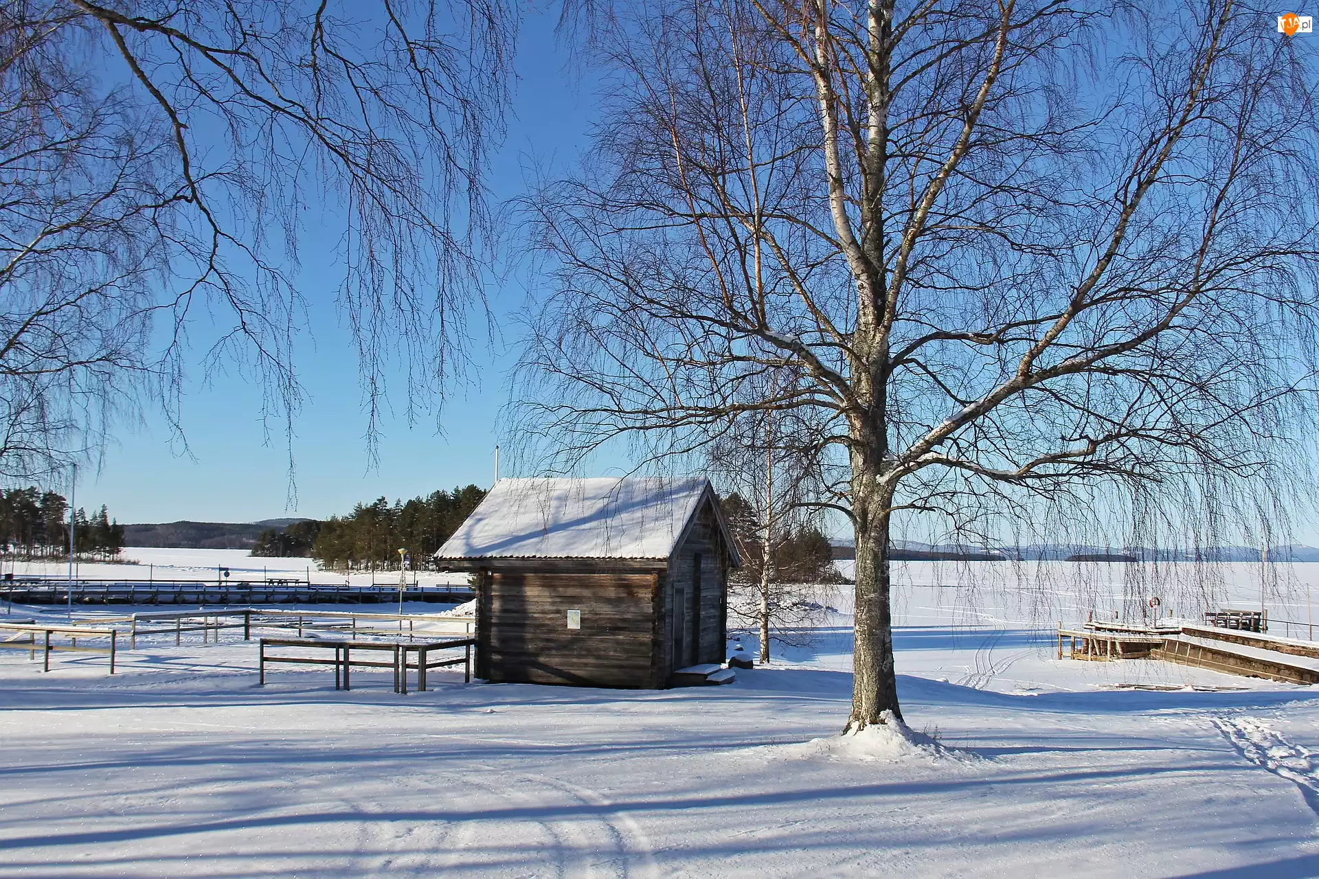 Szwecja, Jezioro, Tallberg, Dom, Szopa, Drzewa, Pomost, Zima, Śnieg