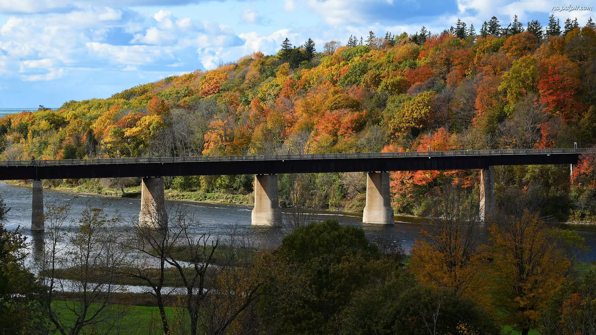 Kanada, Drzewa, Goderich, Menesetung Bridge, Wzgórze, Jesień, Maitland River, Rzeka, Most, Prowincja Ontario