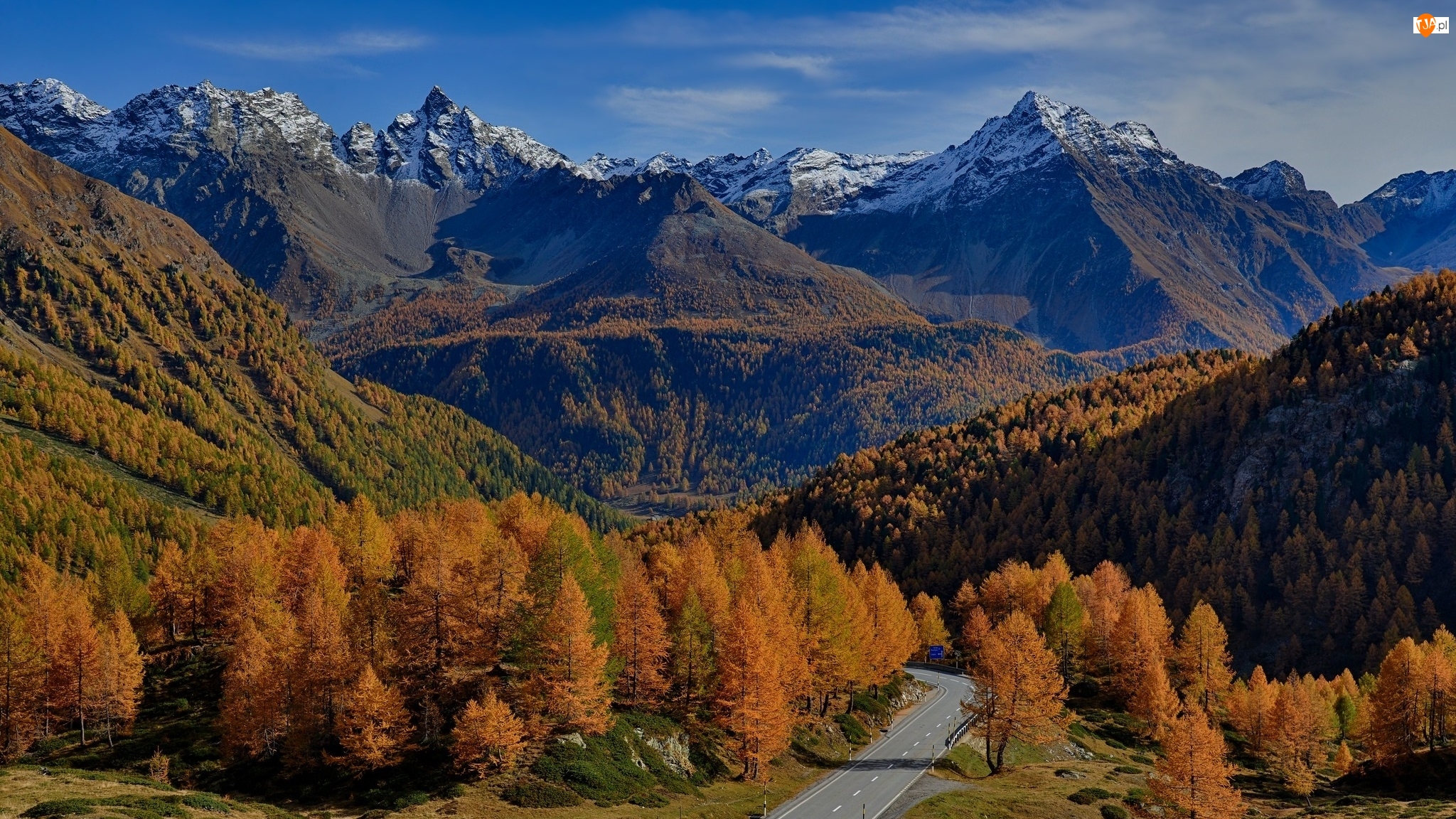 Passo del Bernina, Jesień, Drzewa, Kanton Gryzonia, Góry, Przełęcz, Szwajcaria, Droga