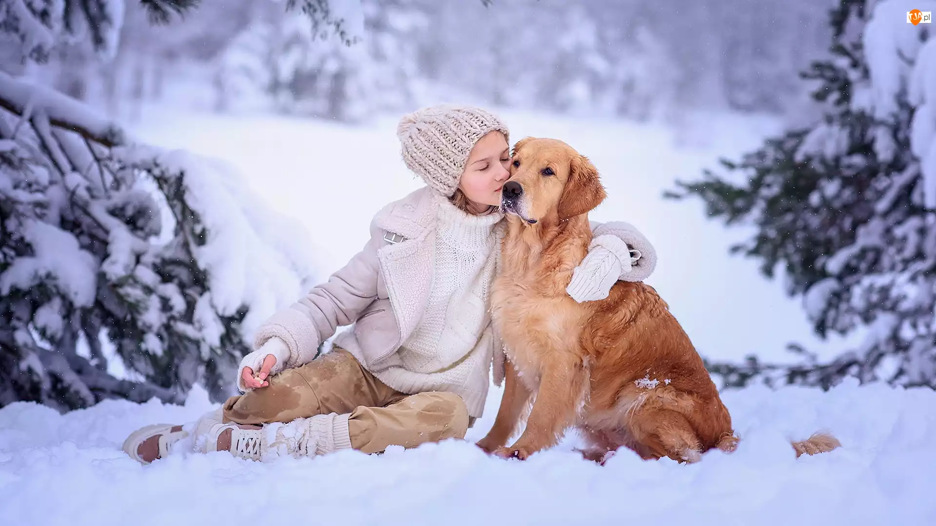 Pies, Golden retriever, Zima, Dziewczynka, Śnieg, Drzewa, Ośnieżone