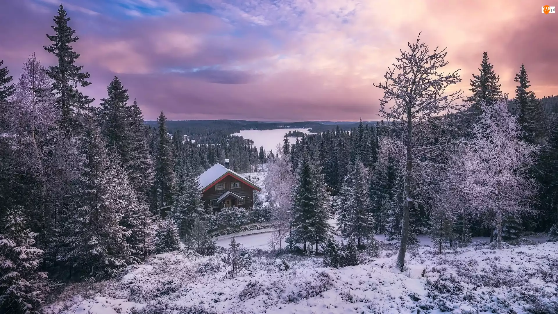 Dom, Jezioro, Śnieg, Zima, Drzewa
