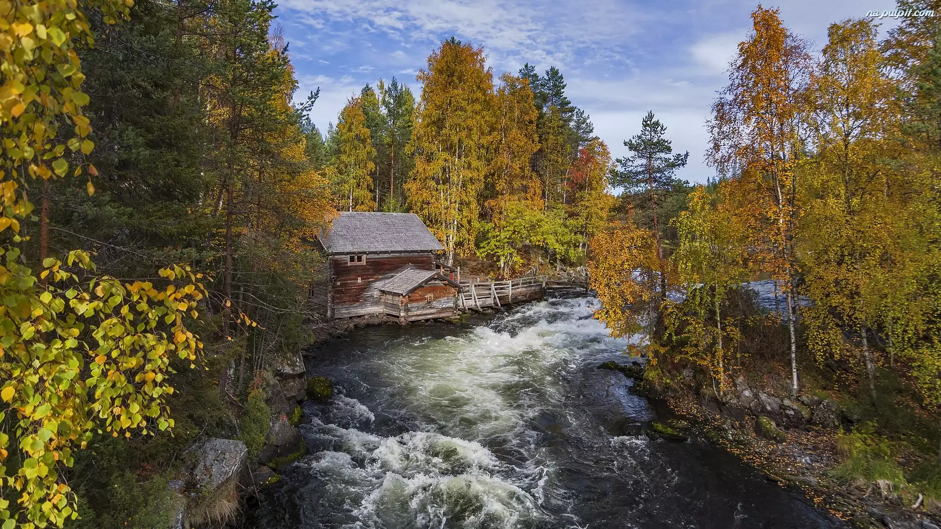 Finlandia, Drzewa, Laponia, Park Narodowy Oulanka, Gmina Kuusamo, Rzeka, Młyn Myllykoski, Las, Jesień