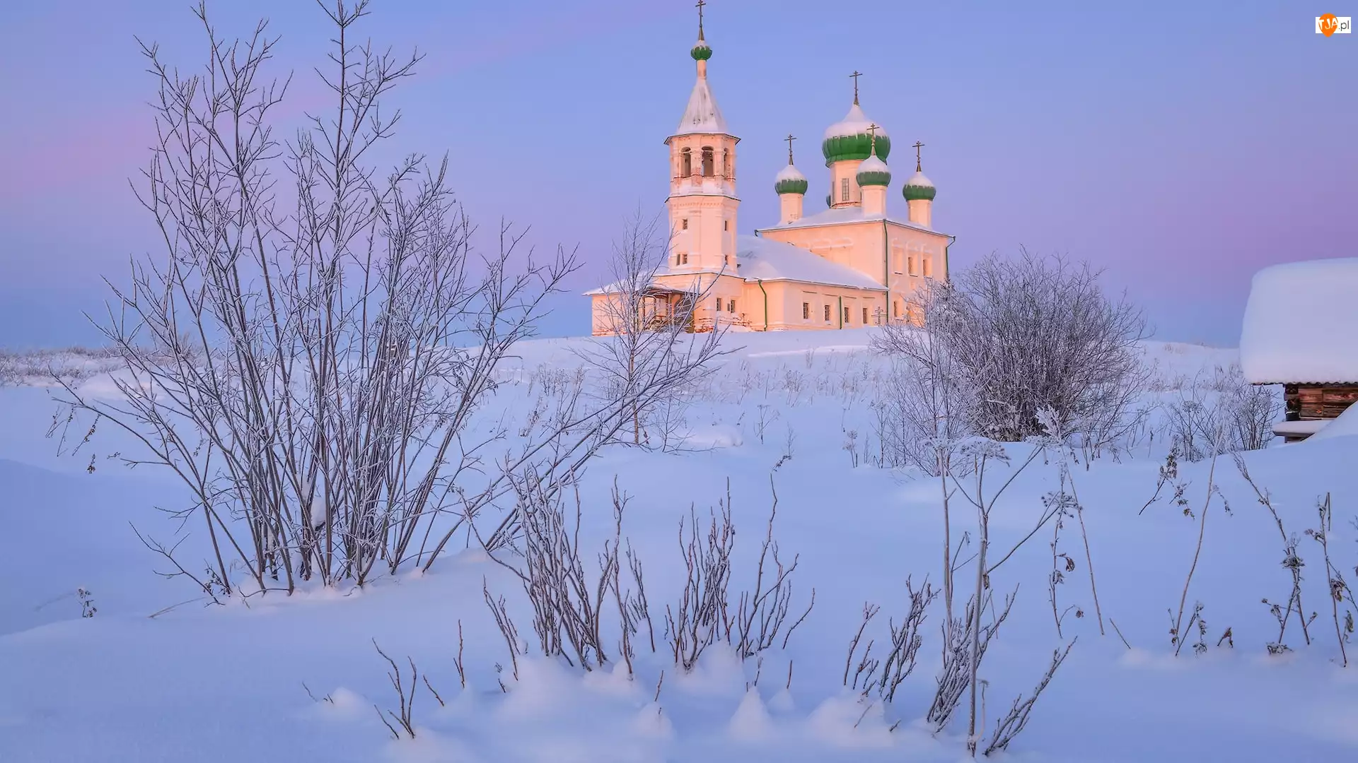 Cerkiew, Zima, Śnieg, Krzewy