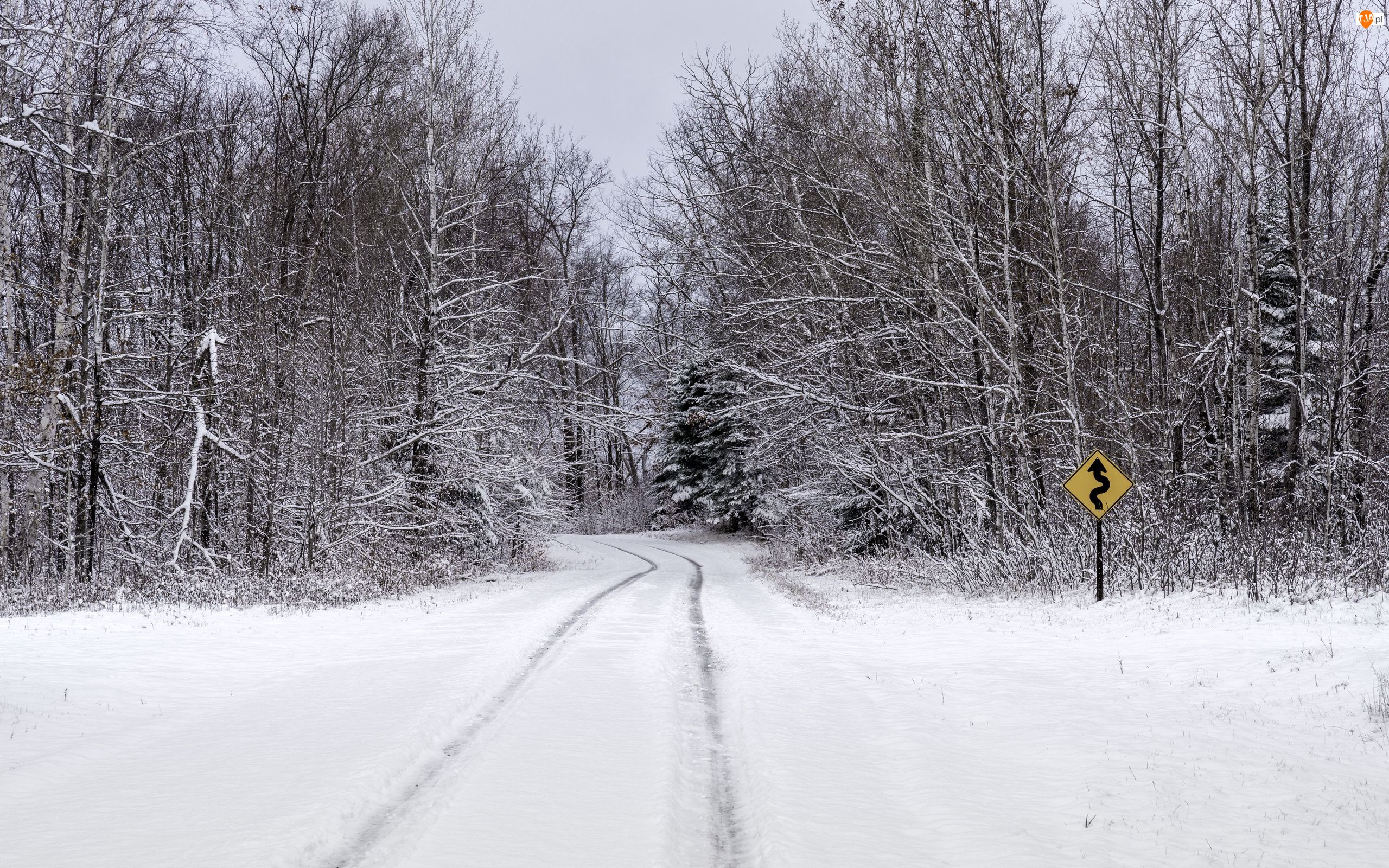 Ścieżka, Drzewa, Zima, Znak drogowy, Śnieg, Natura