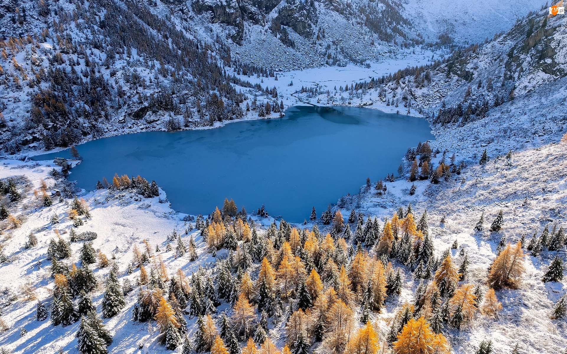 Lombardia, Góry, Zima, Włochy, Aviolo Lake, Jezioro, Drzewa