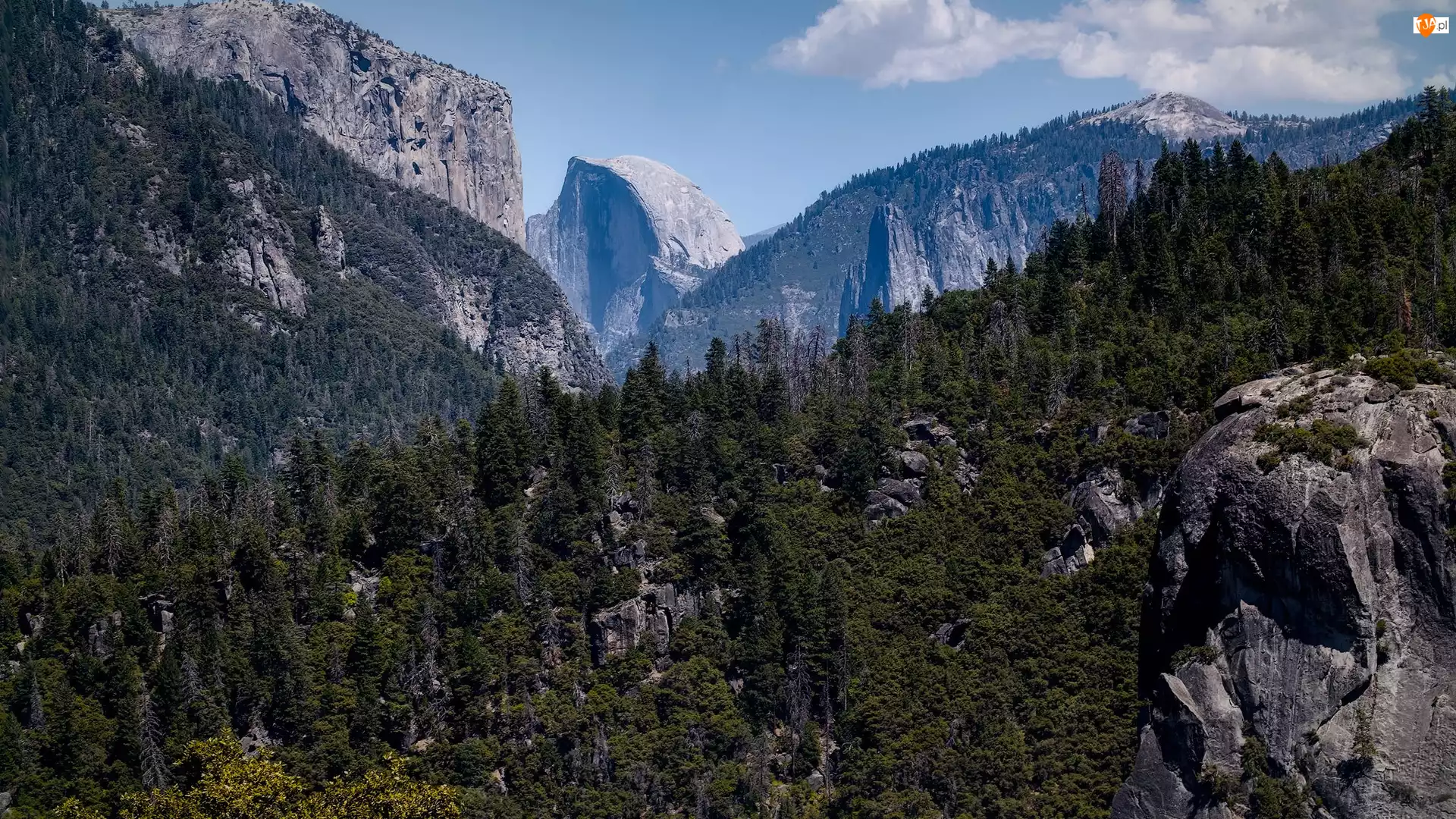 Stany Zjednoczone, Sierra Nevada, Kalifornia, Drzewa, Park Narodowy Yosemite, Szczyt, Half Dome, Góry, Skały