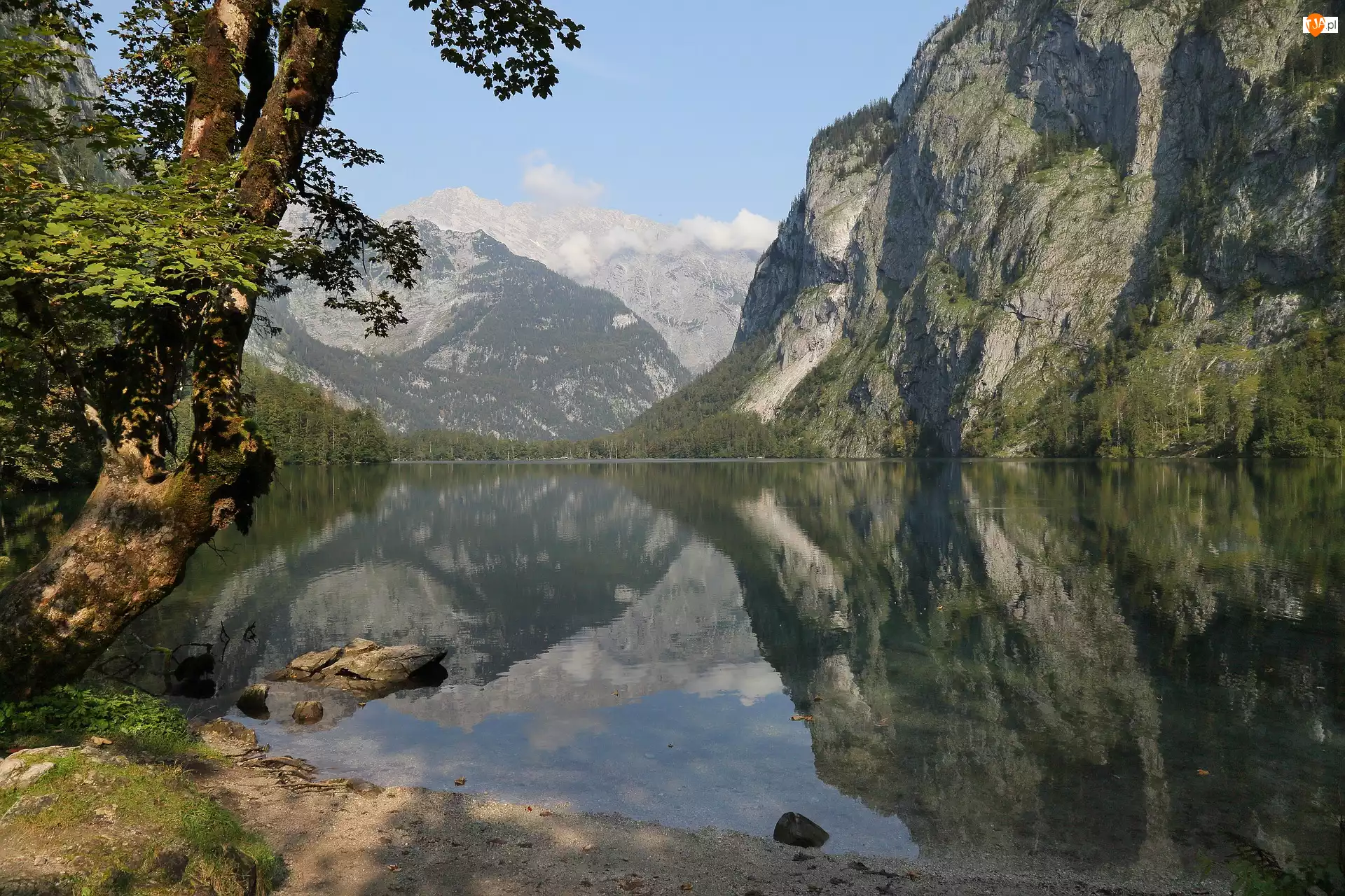 Jezioro Obersee, Niemcy, Góry, Drzewo, Park Narodowy Berchtesgaden