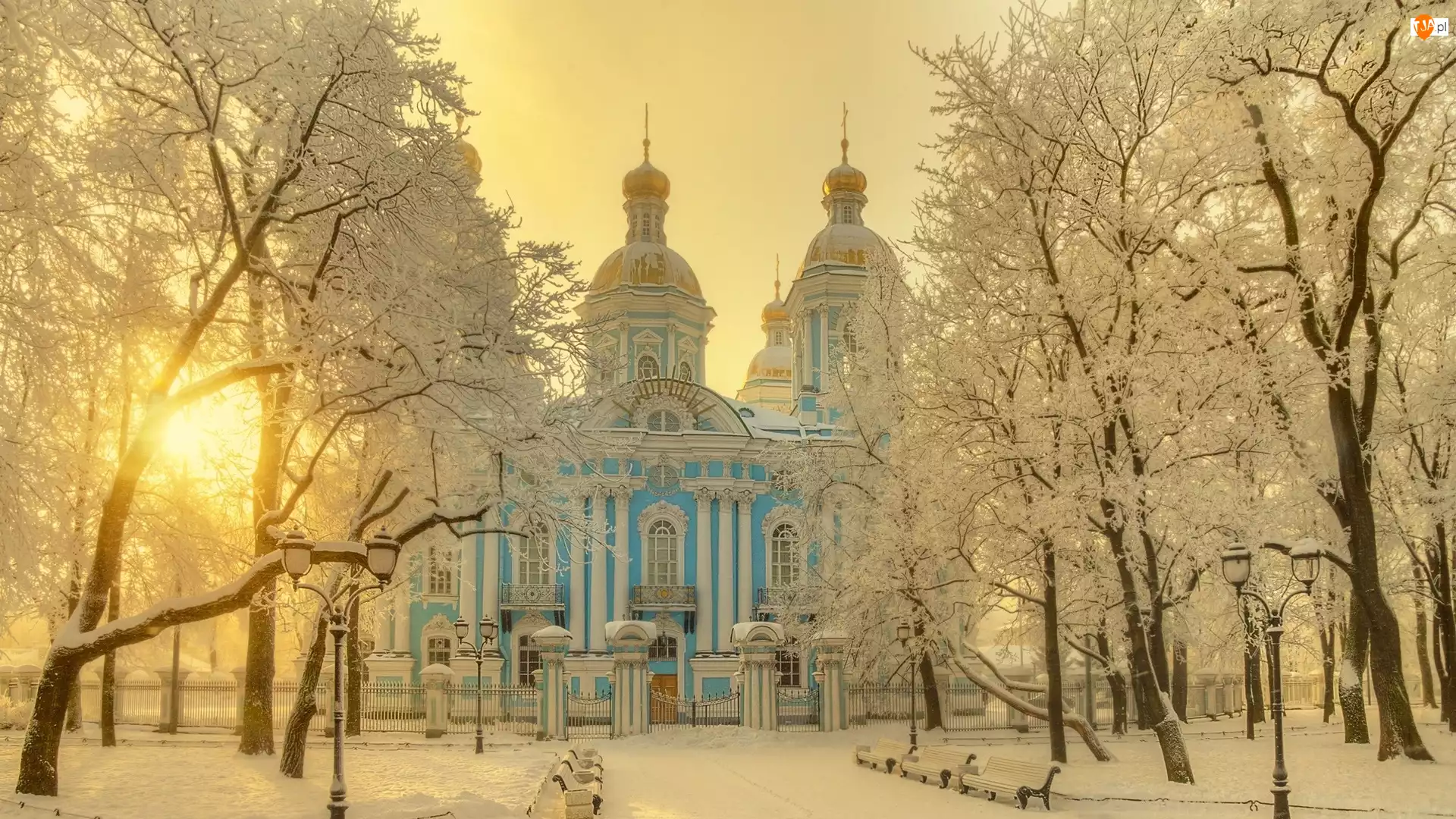 Drzewa, Park, Rosja, Zima, Petersburg, Katedra Marynarki Wojennej św Mikołaja, Cerkiew