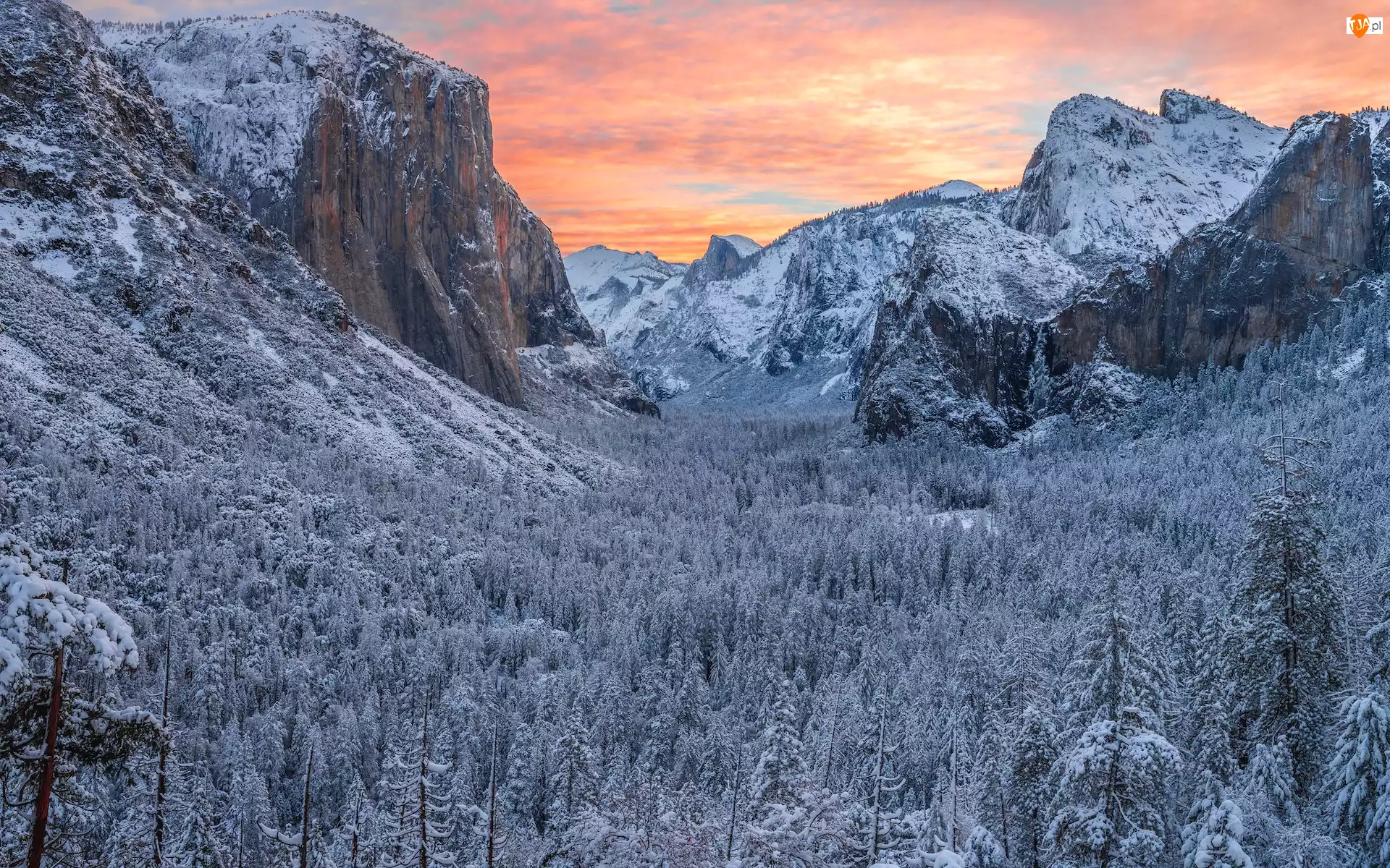Kalifornia, Stany Zjednoczone, Góra El Capitan, Park Narodowy Yosemite, Skały, Drzewa, Zima