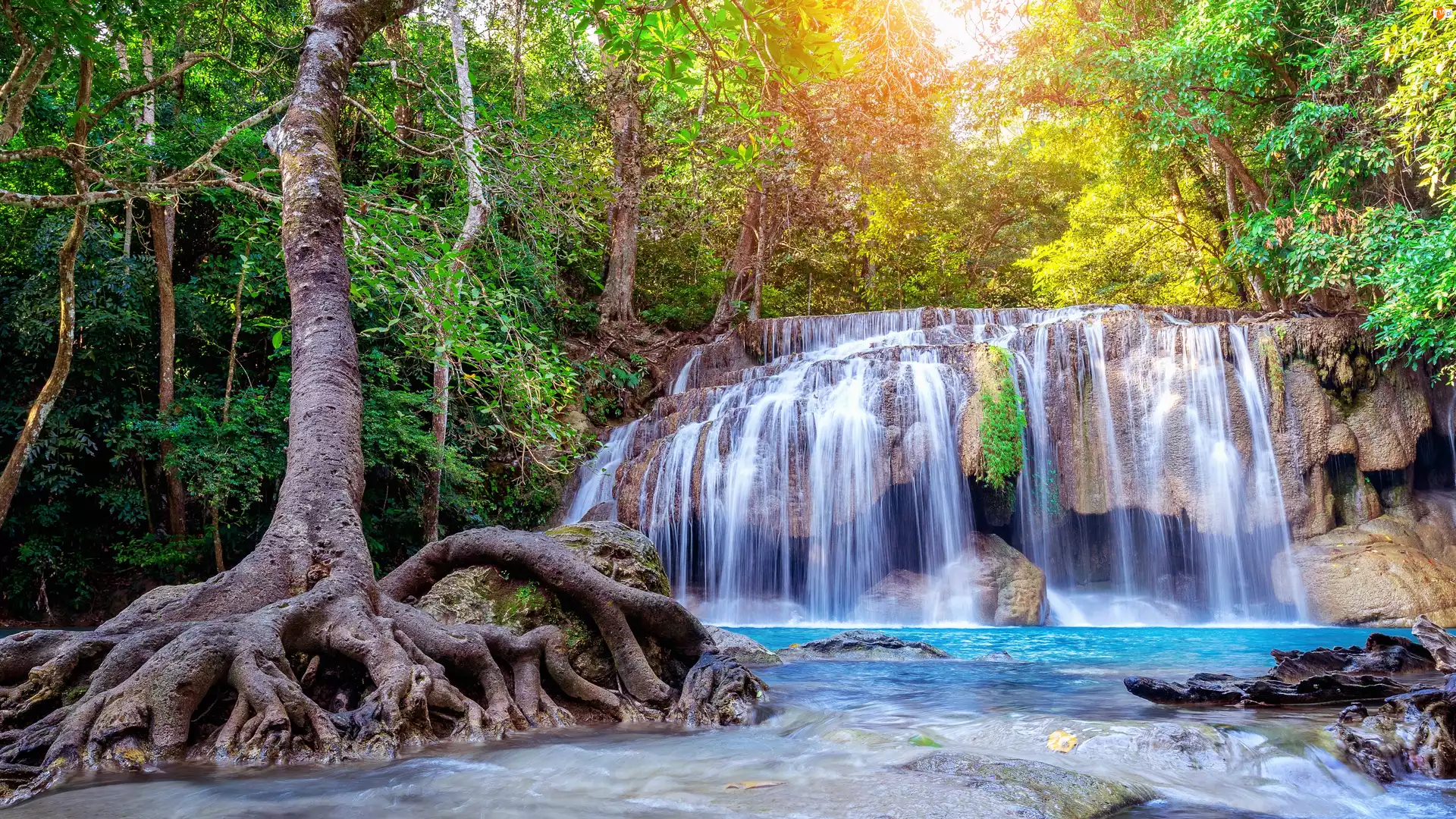 Erawan Waterfall, Drzewo, Tajlandia, Wodospad, Prowincja Kanchanaburi, Park Narodowy Erawan, Korzenie