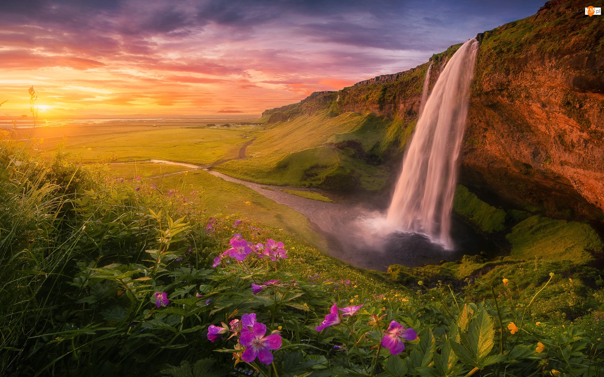 Wodospad Seljalandsfoss, Kwiaty, Islandia, Skały, Chmury, Zachód słońca, Roślinność