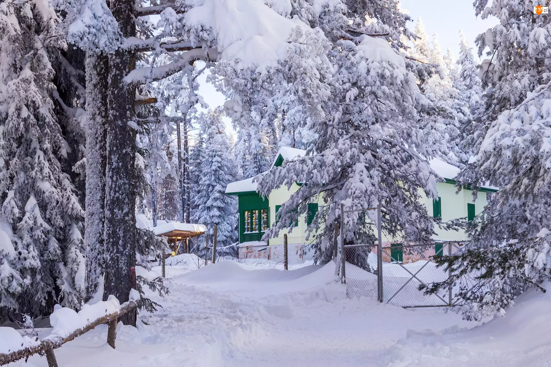 Droga, Śnieg, Dom, Zima, Drzewa
