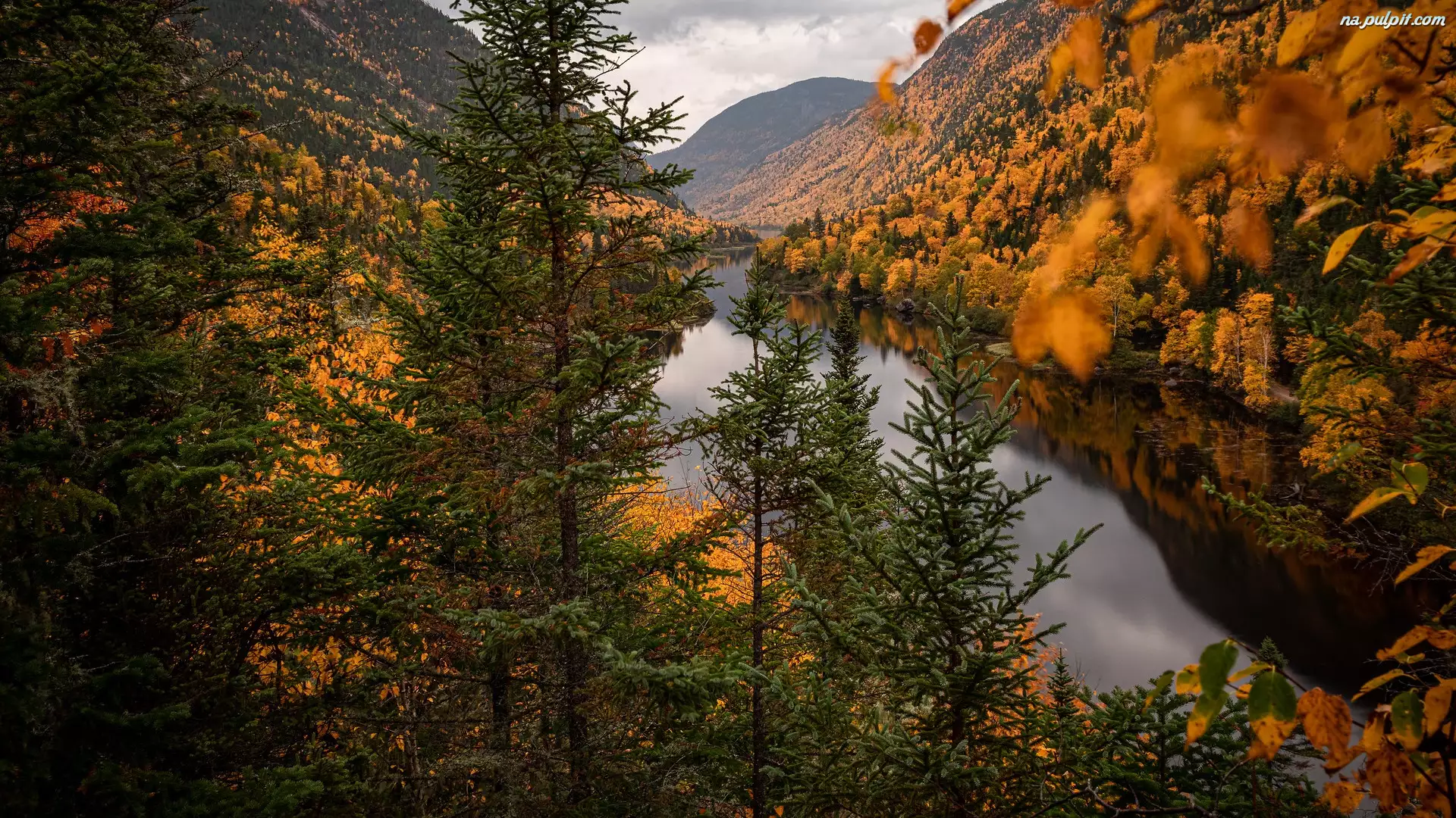 Kanada, Góry, Prowincja Quebec, Drzewa, Park Narodowy Hautes Gorges de la Riviere Malbaie, Wąwóz, Rzeka, Jesień, Malbaie River