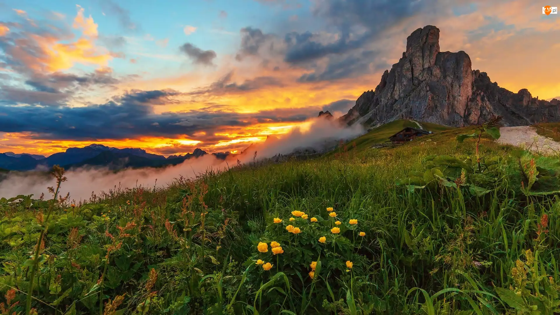 Góra Ra Gusela, Zachód słońca, Włochy, Góry, Kwiaty, Łąka, Mgła