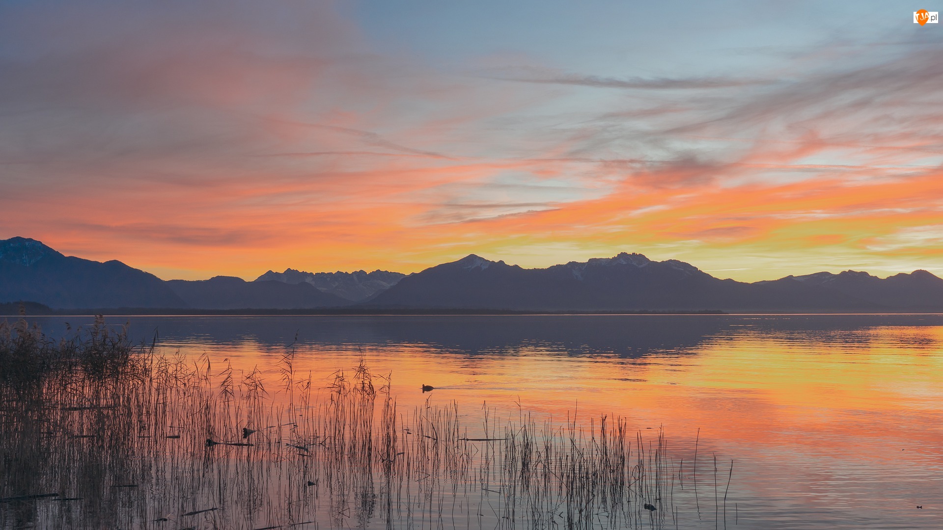 Jezioro Chiemsee, Zachód słońca, Trawa, Niemcy, Góry, Bawaria