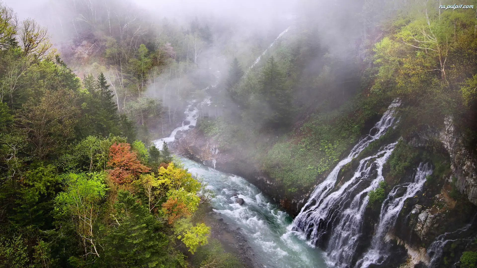 Japonia, Wodospad, Shirahige Waterfall, Biei River, Las, Jesień, Mgła, Drzewa, Rzeka, Hokkaido